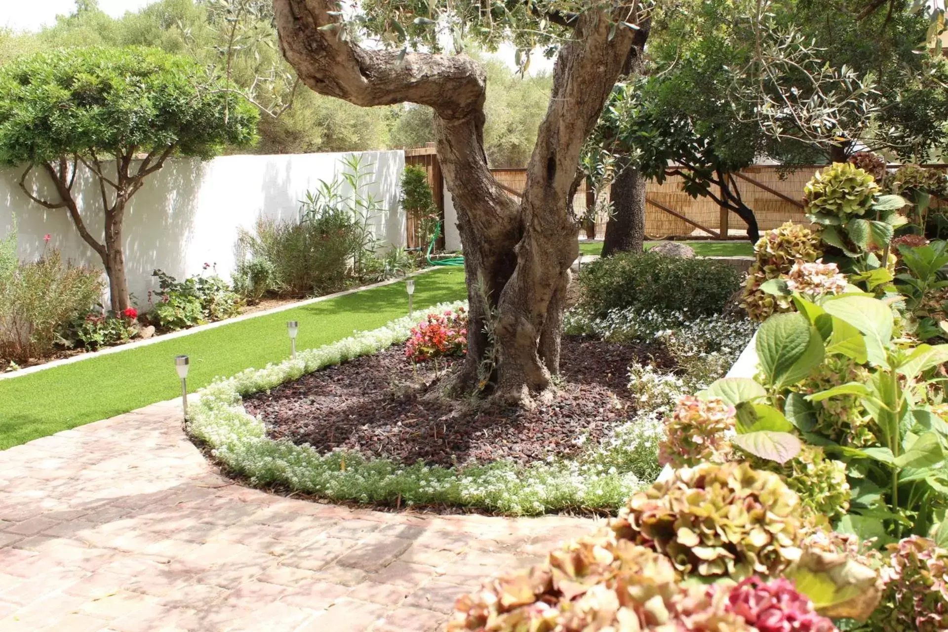 Garden in Giobo Rooms