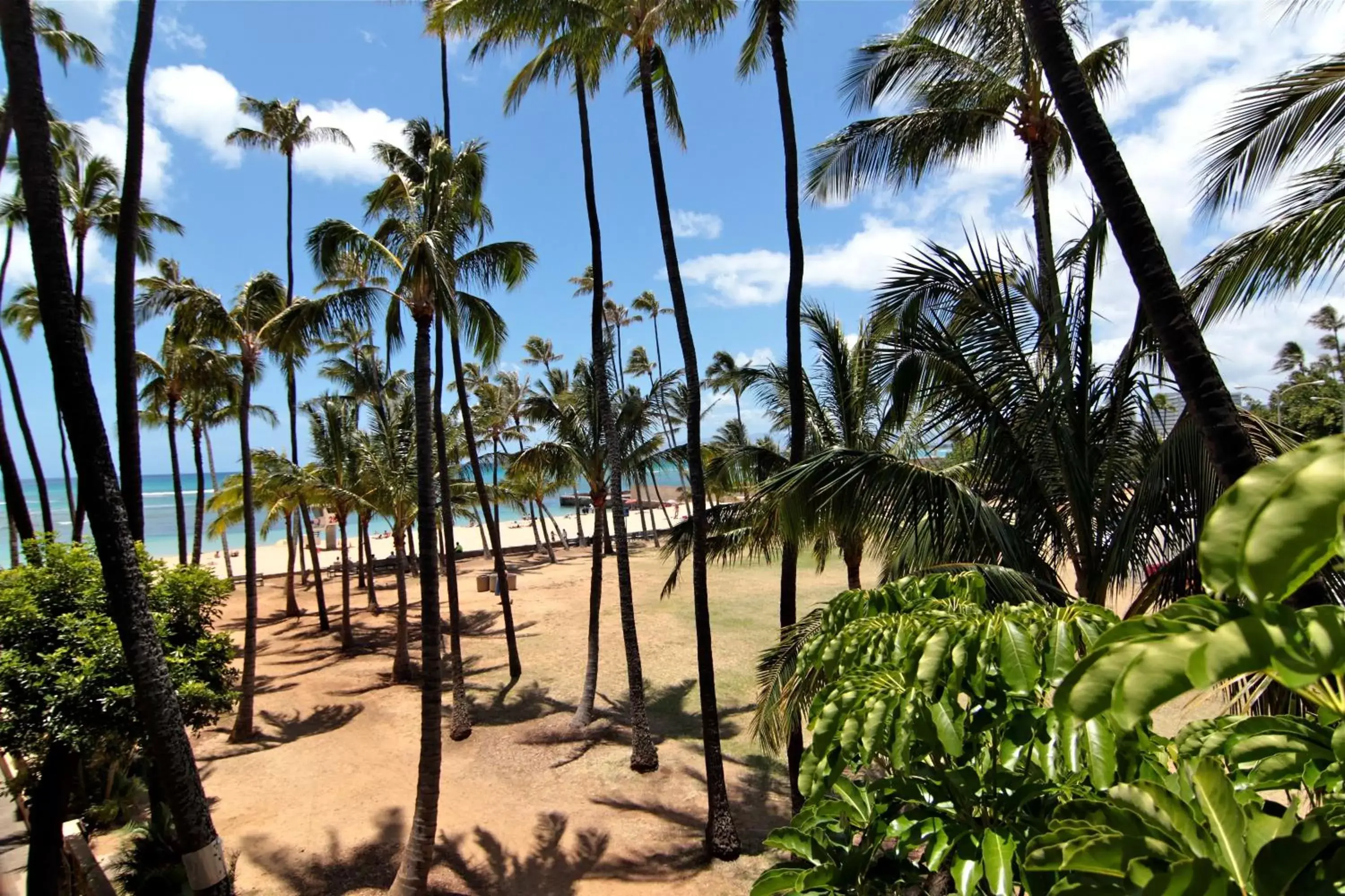 View (from property/room), Beach in Kaimana Beach Hotel
