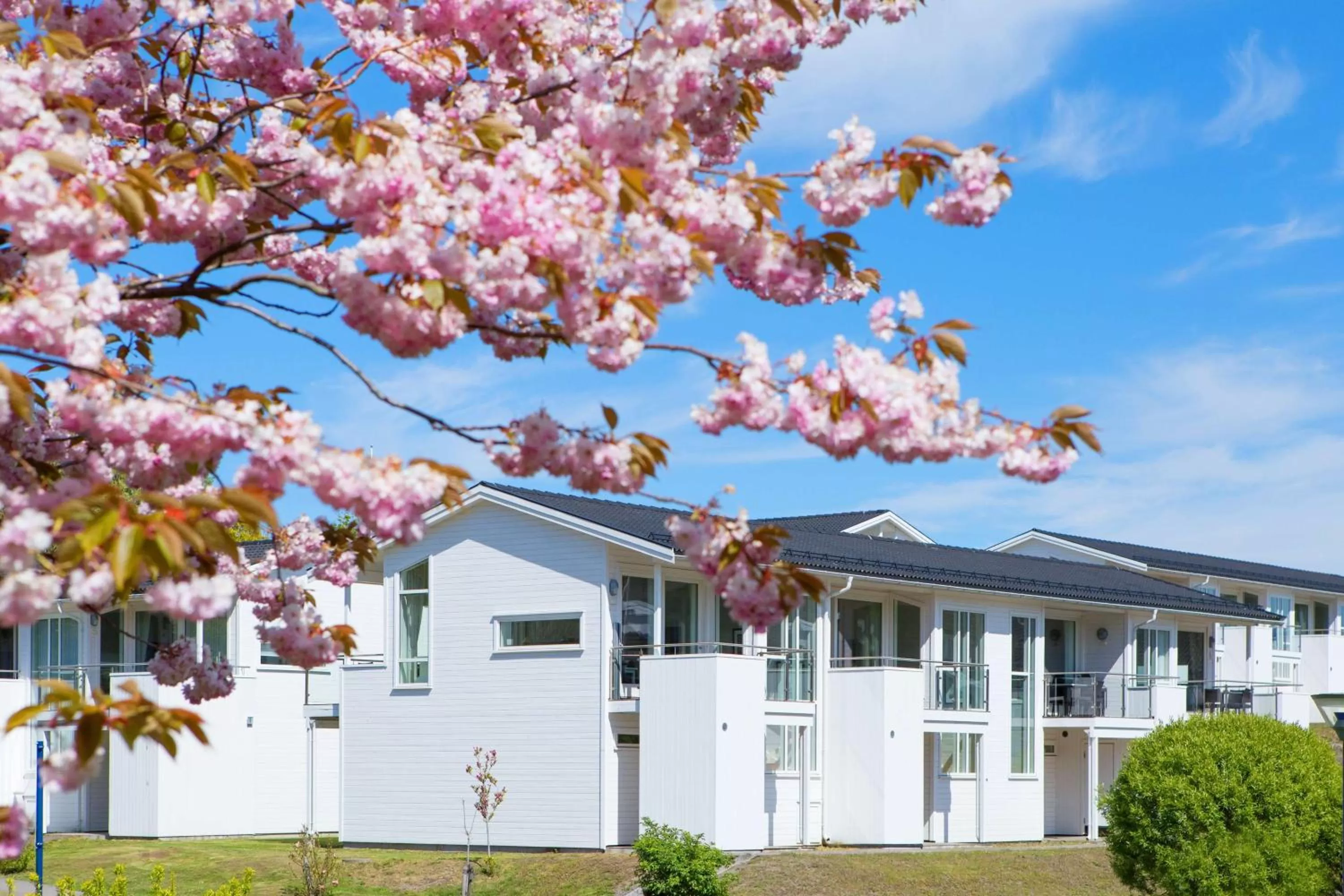 Property building in Havna Tjøme Hotel