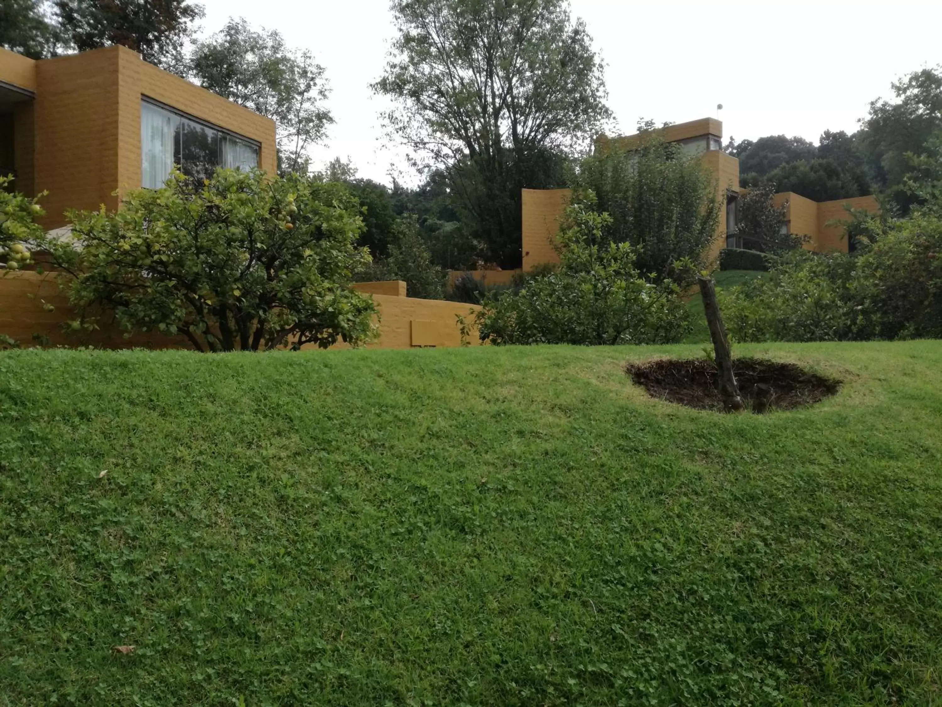 Garden in Hotel Casa en el Campo