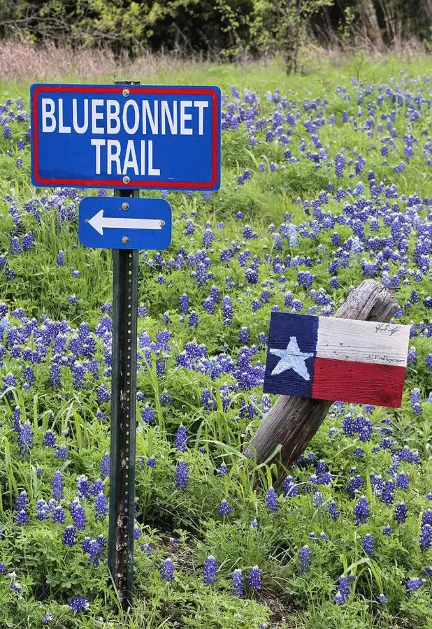 Entertainment in Holiday Inn Express & Suites Waxahachie by IHG