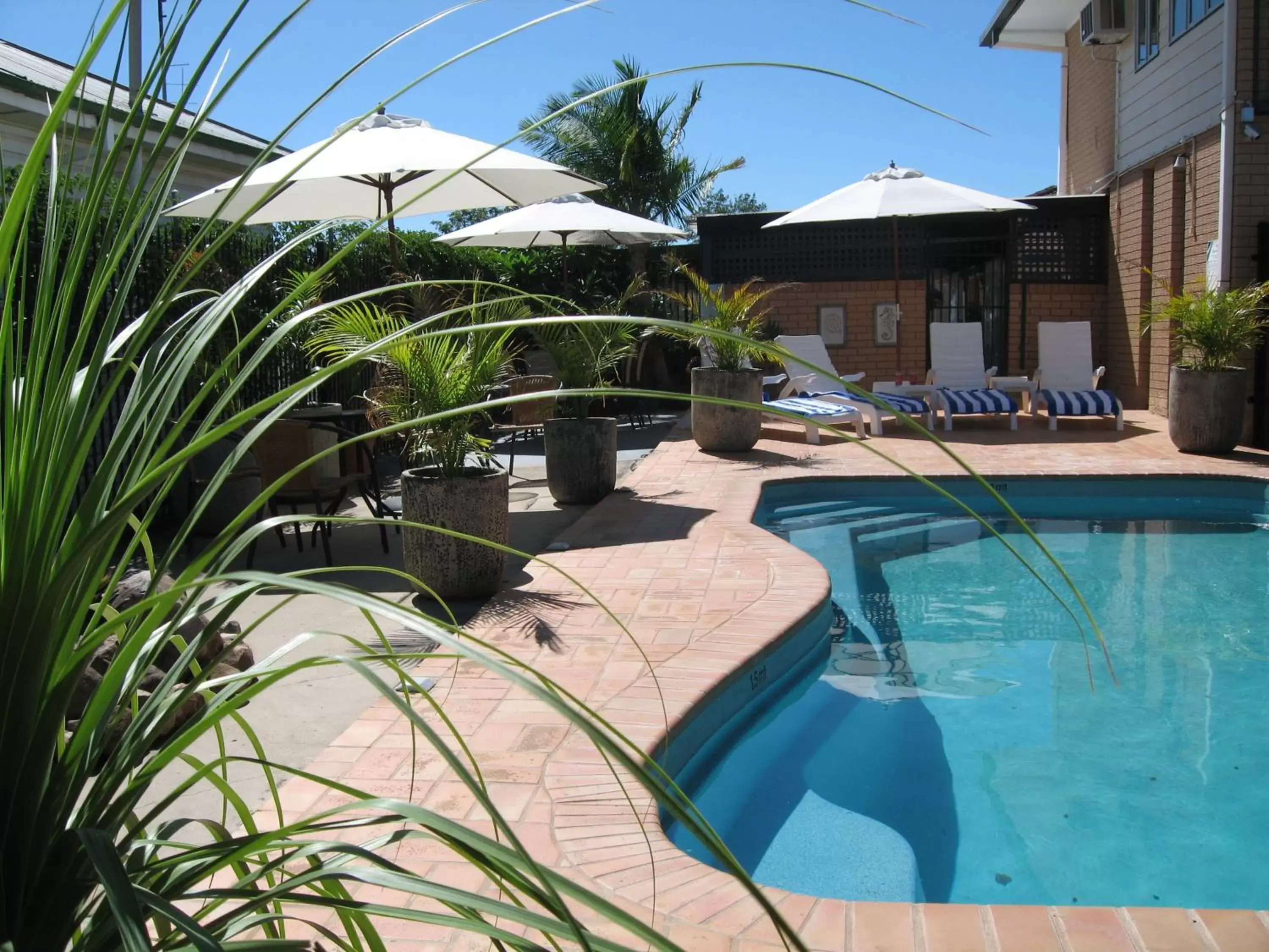 Swimming Pool in Golden Harvest Motor Inn Moree