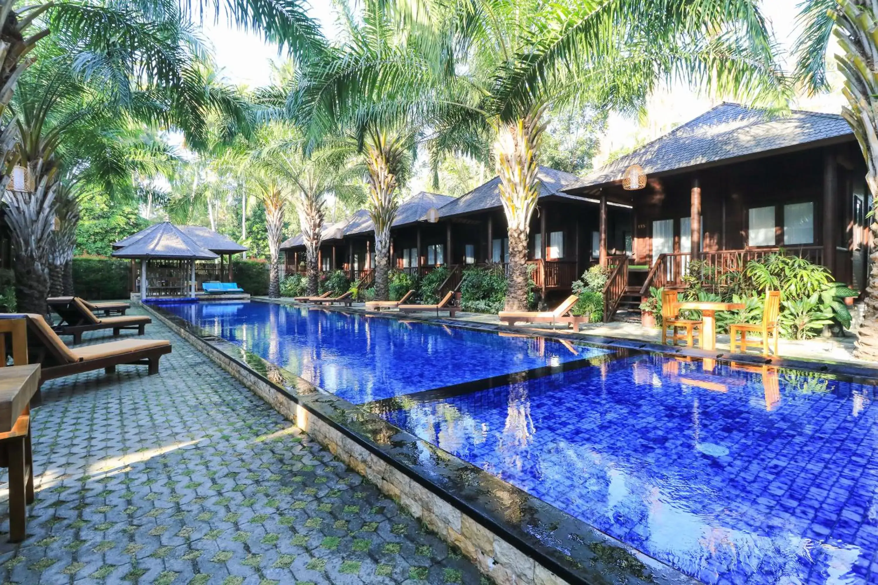 Swimming Pool in Coconut Boutique Resort
