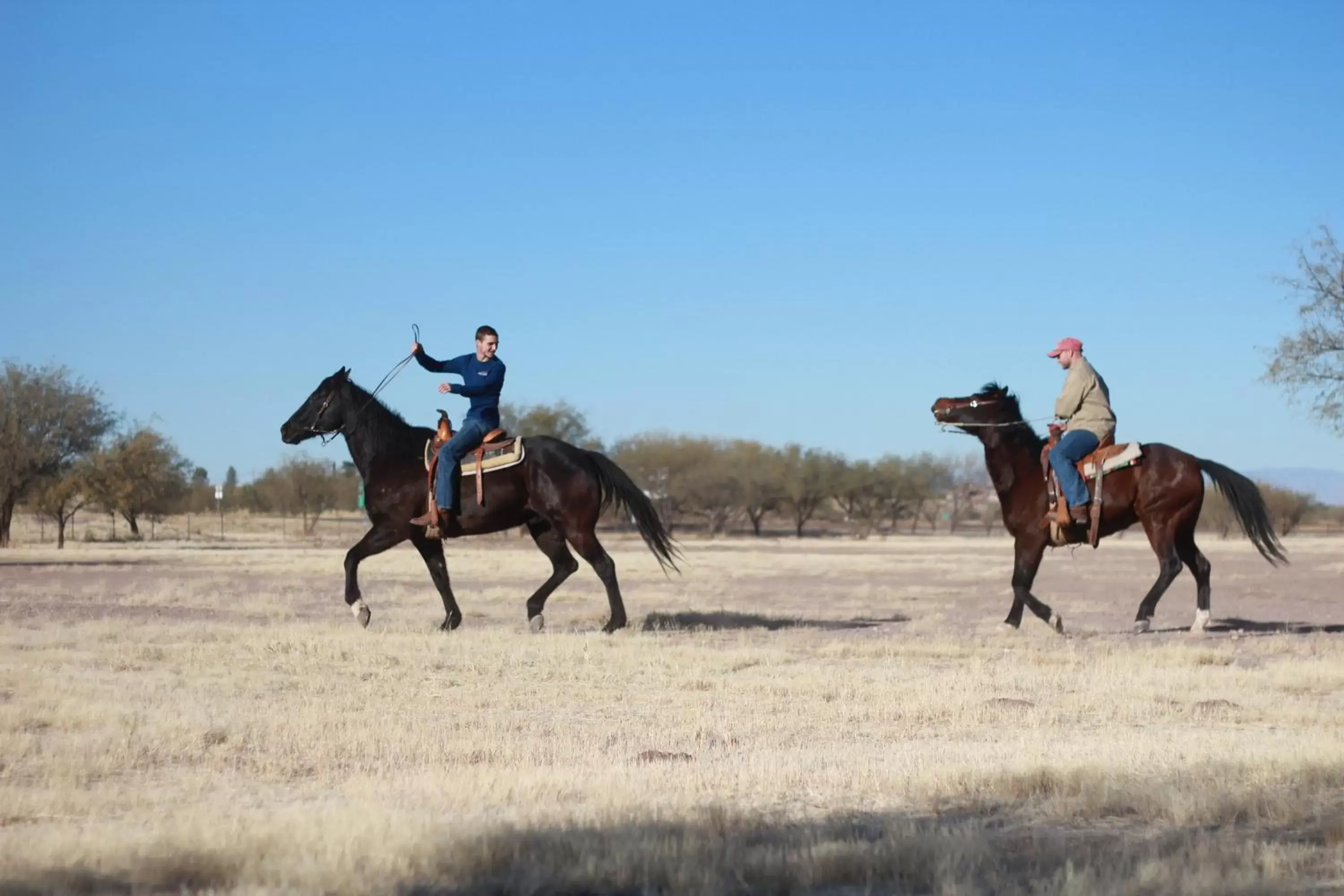 Horse-riding, Horseback Riding in Amado Territory B&B