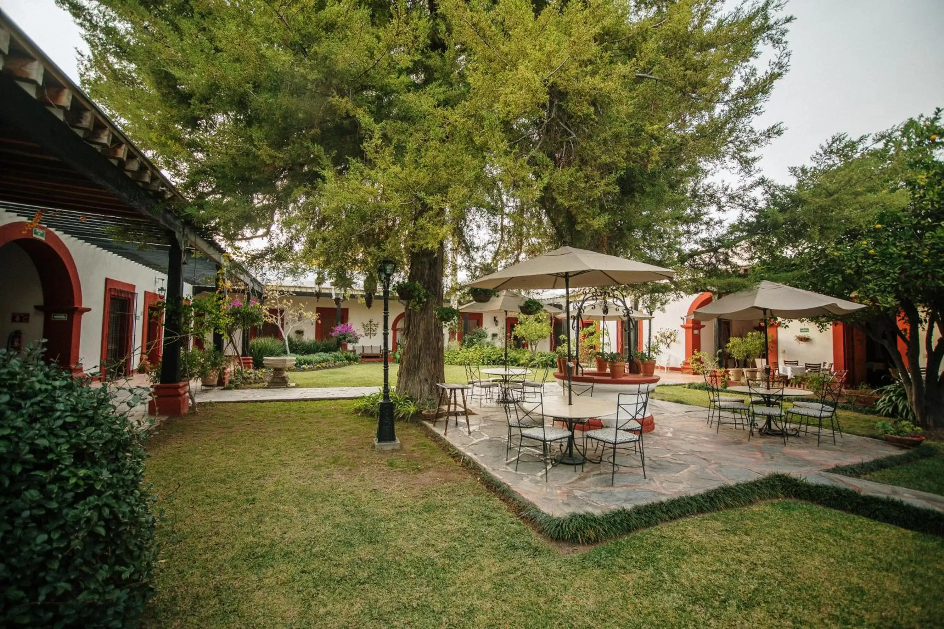 Garden in Hotel El Farol