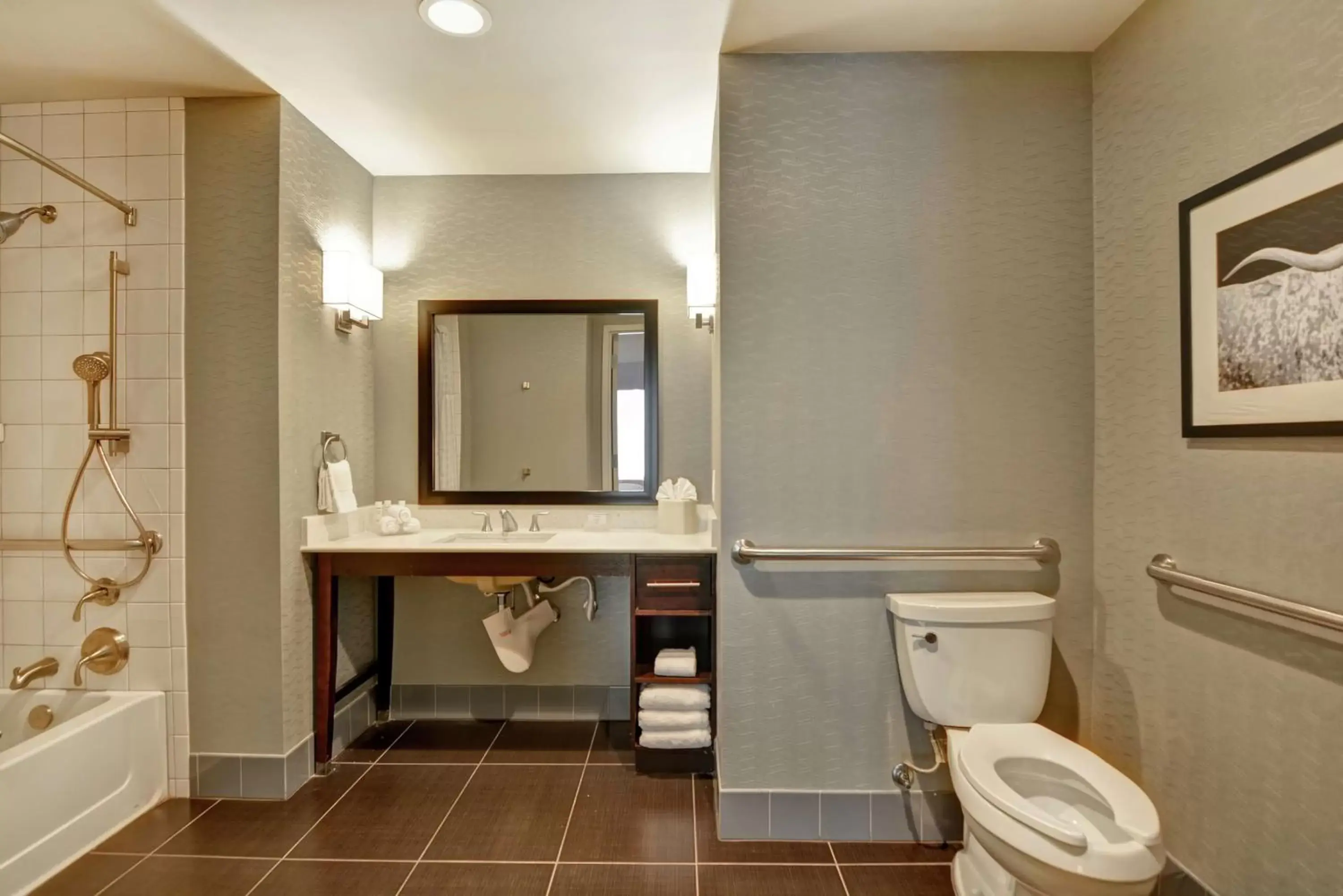 Bathroom in Homewood Suites TechRidge Parmer @ I-35