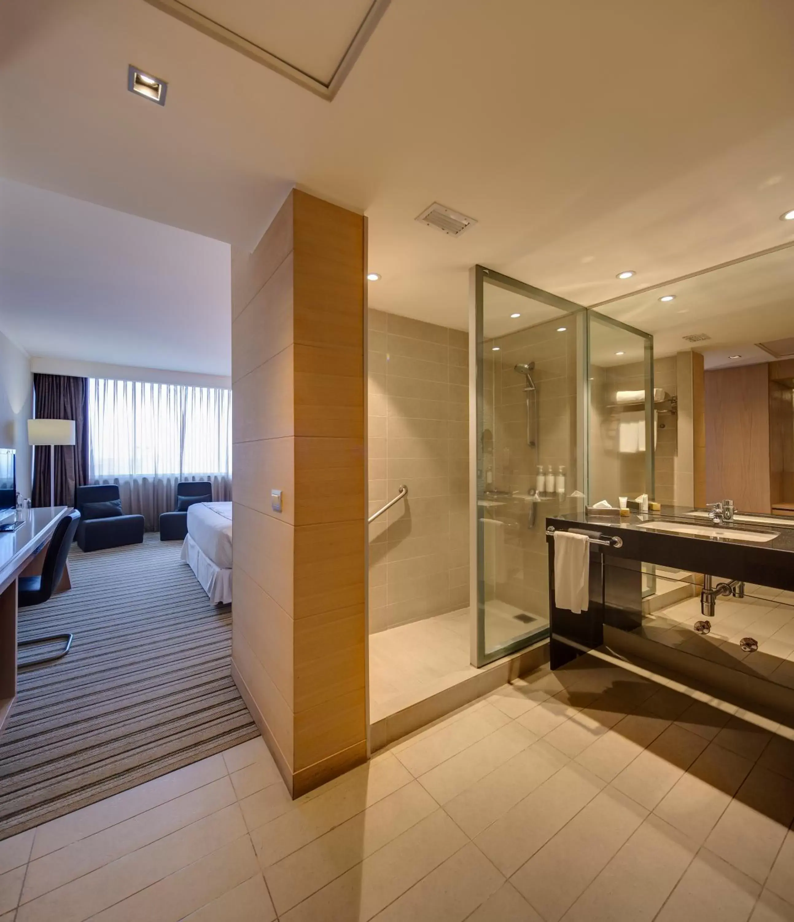 Bathroom in Wyndham Concepcion Pettra Bathroom in Wyndham Concepcion Pettra