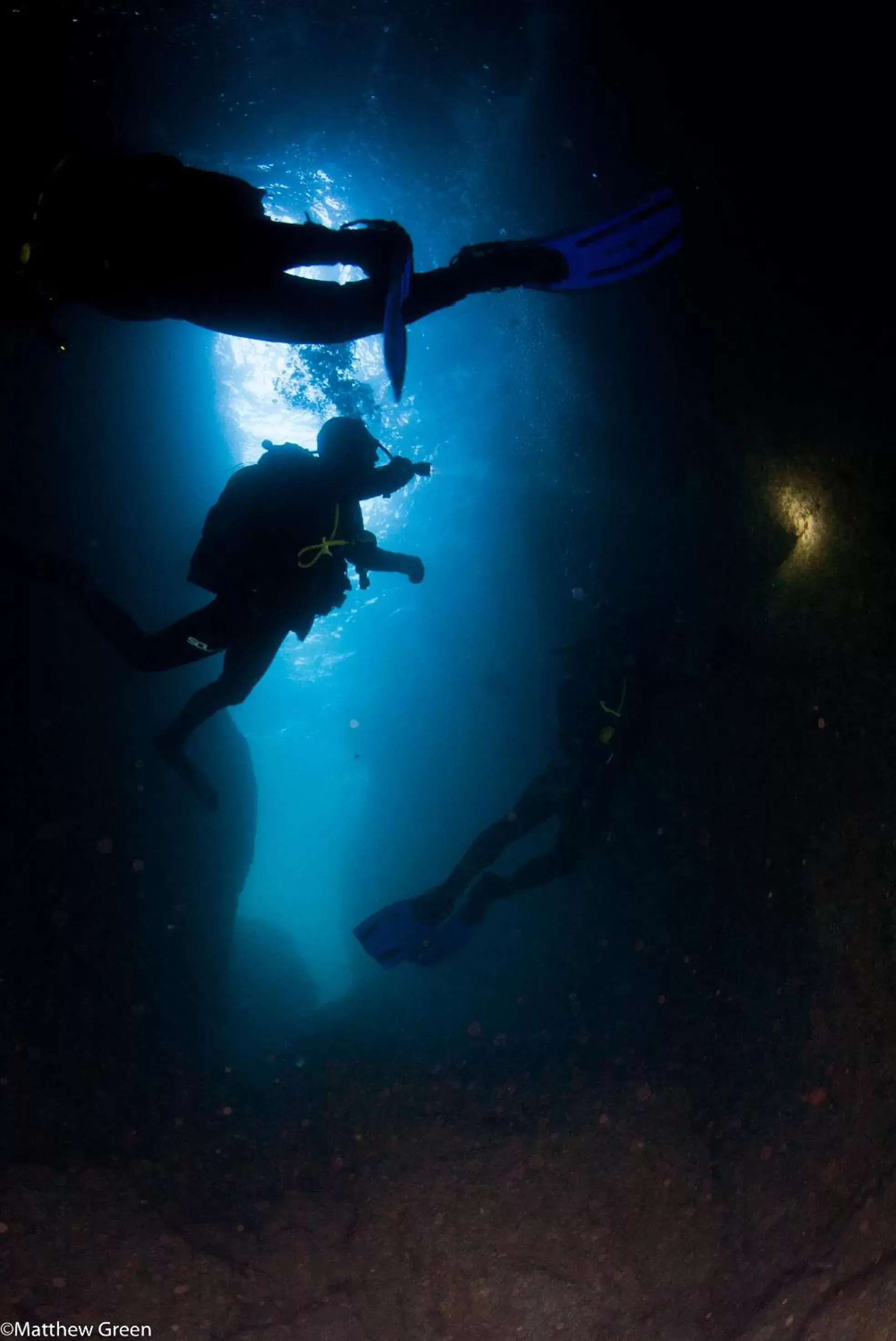Diving, Snorkeling/Diving in PuraVida Divehouse