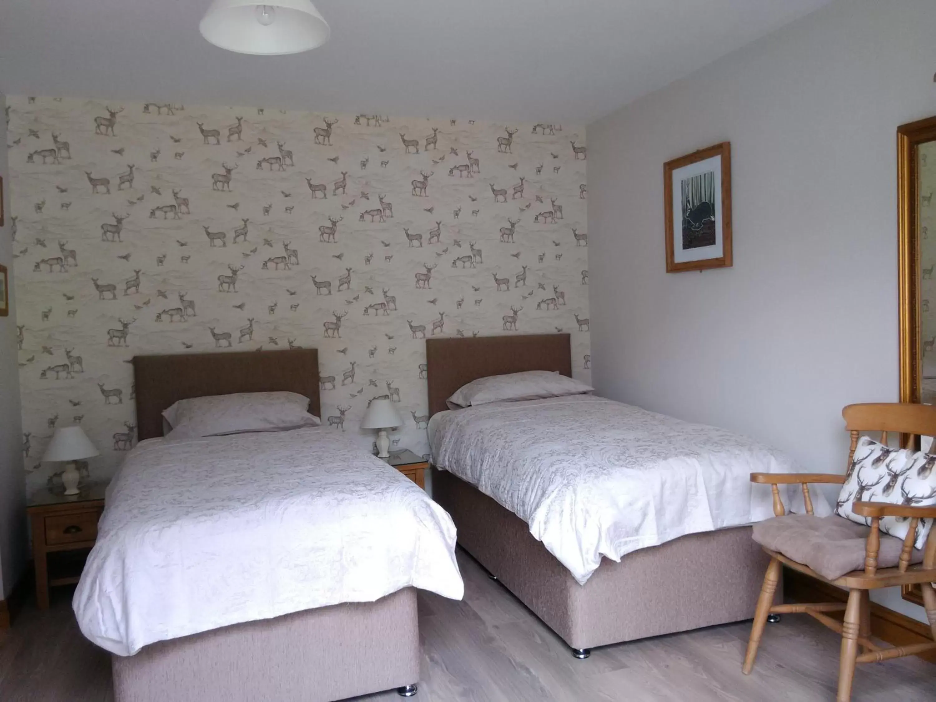 Bedroom, Bed in White Cottage B and B