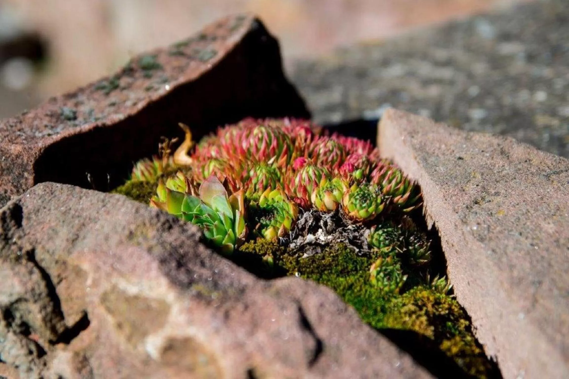 Other in Villa Croatia & Restaurant Adria