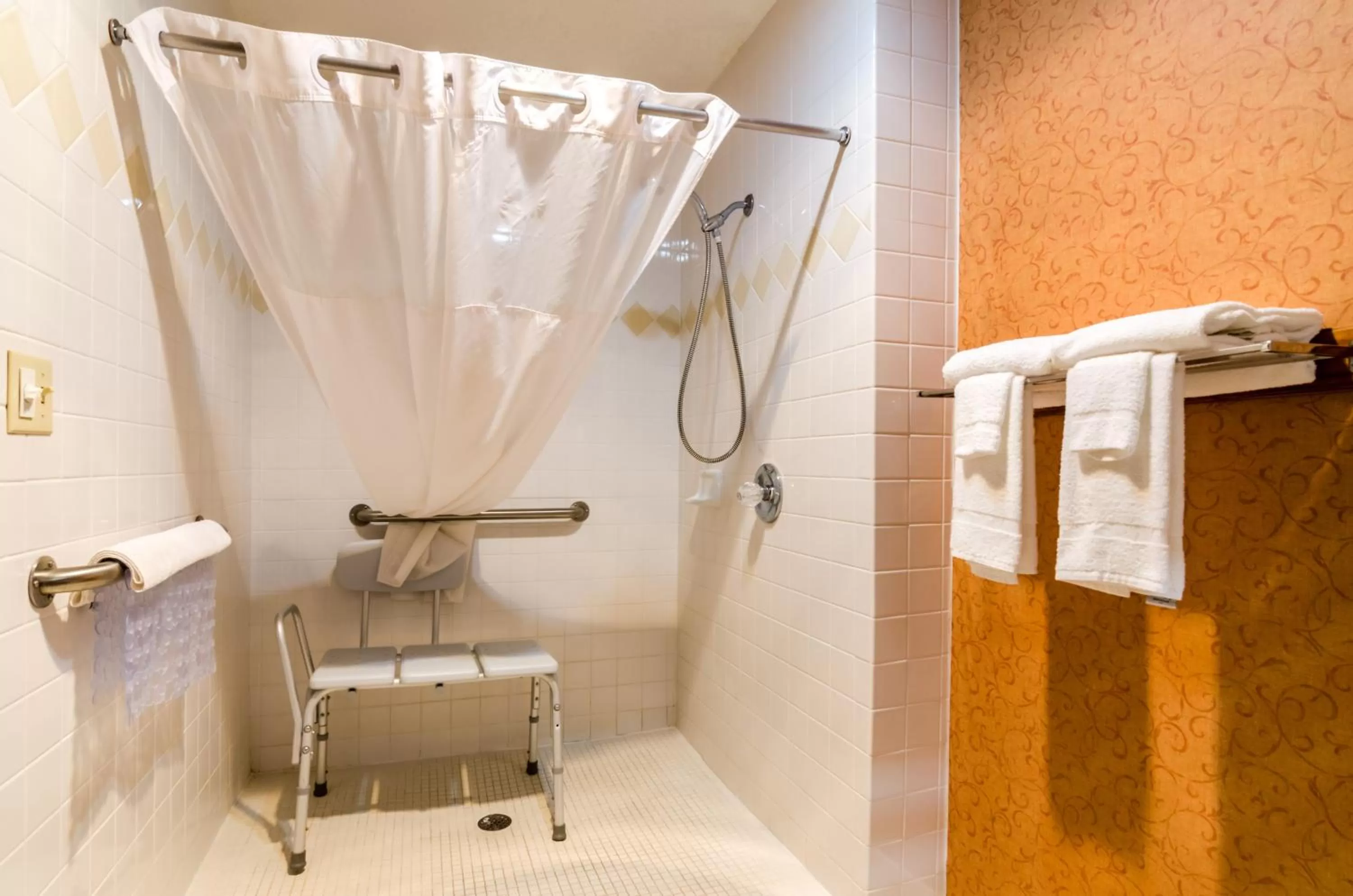 Bathroom in Quality Inn Eureka Springs South