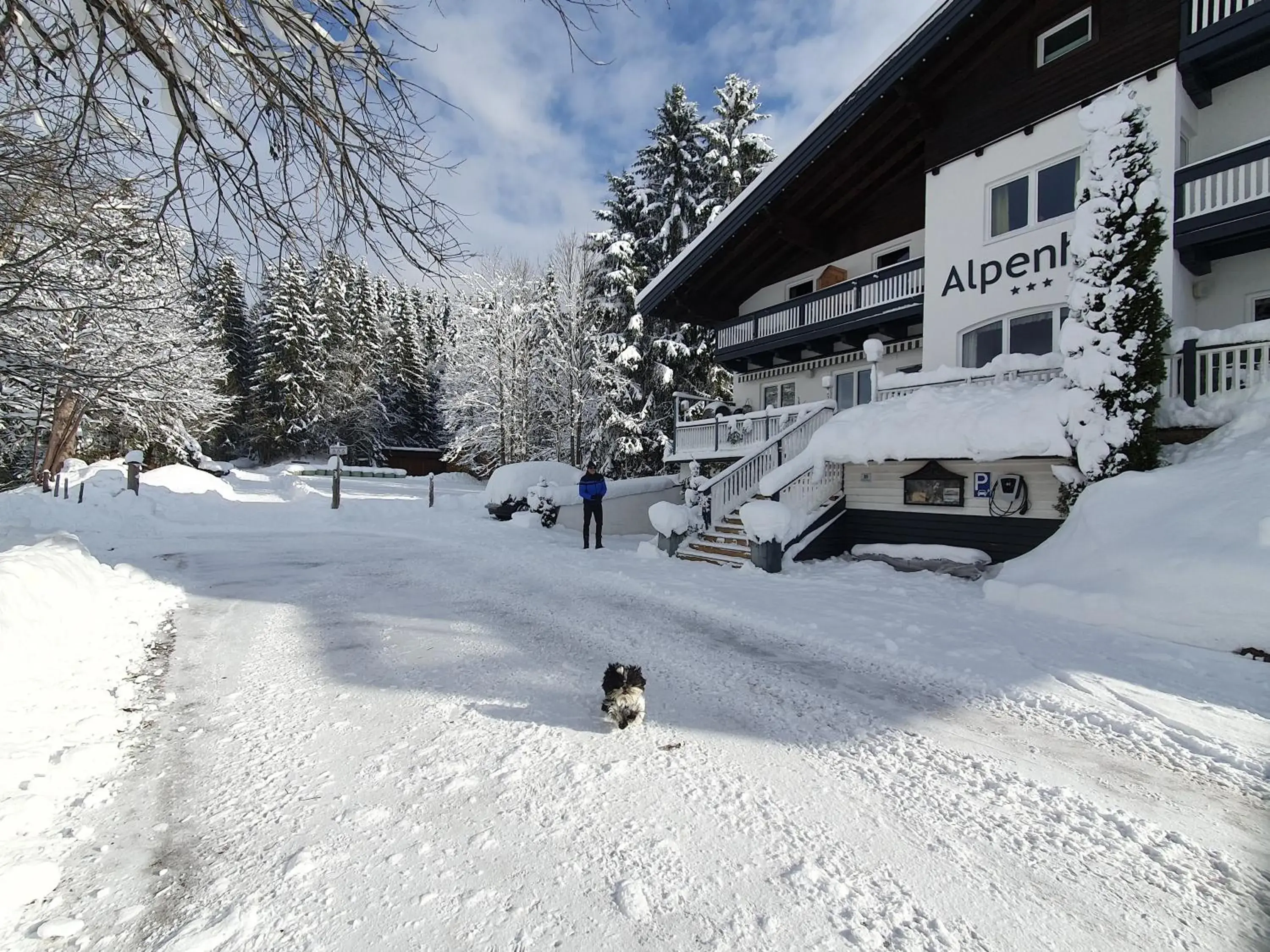 Property building, Winter in Alpenhof