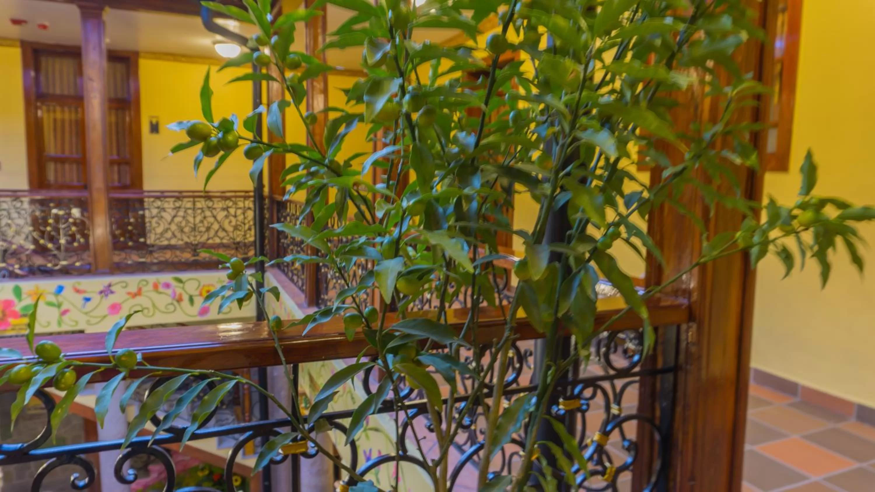 Decorative detail in Hotel La Basílica Quito