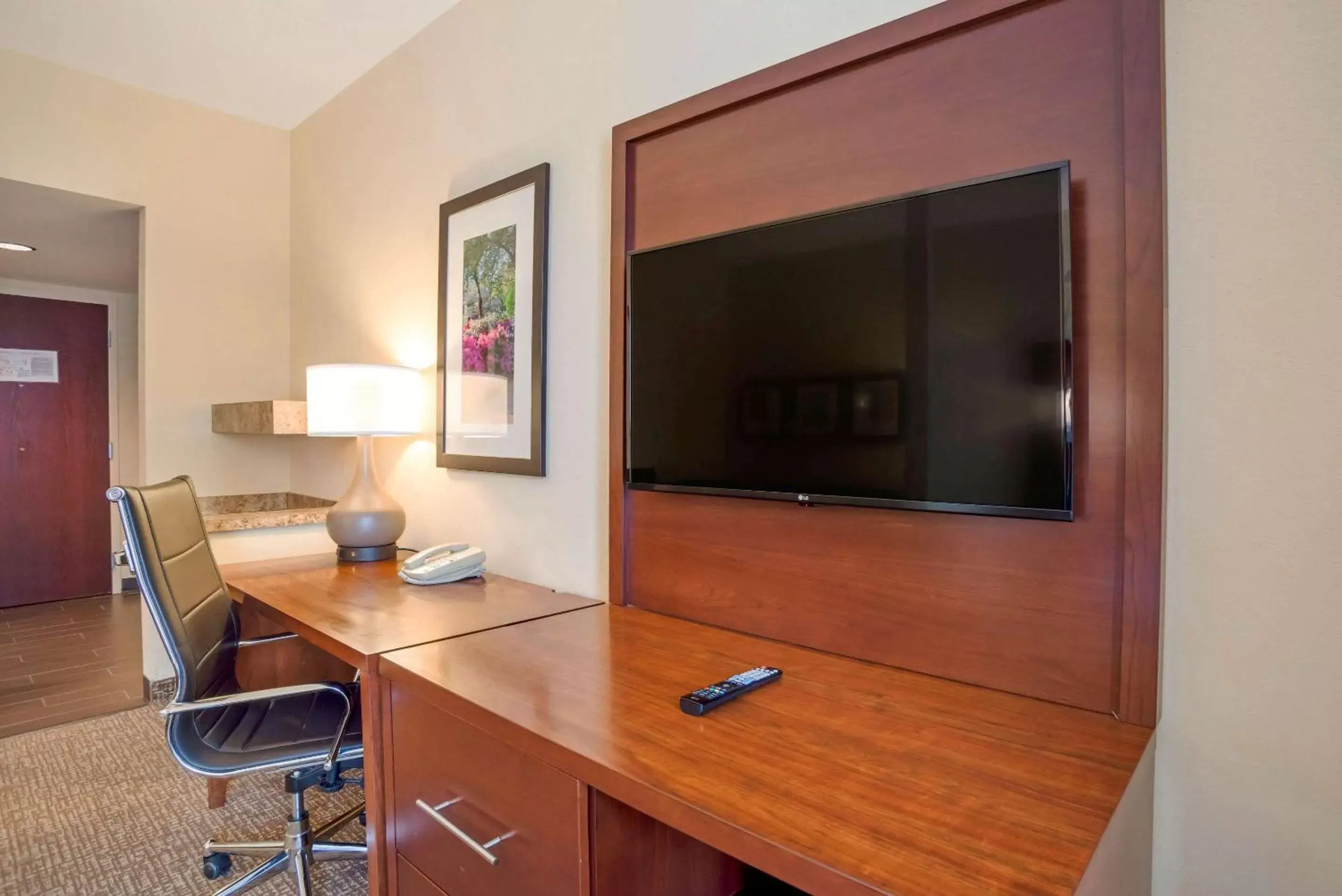 Photo of the whole room, TV/Entertainment Center in Comfort Suites Fredericksburg North