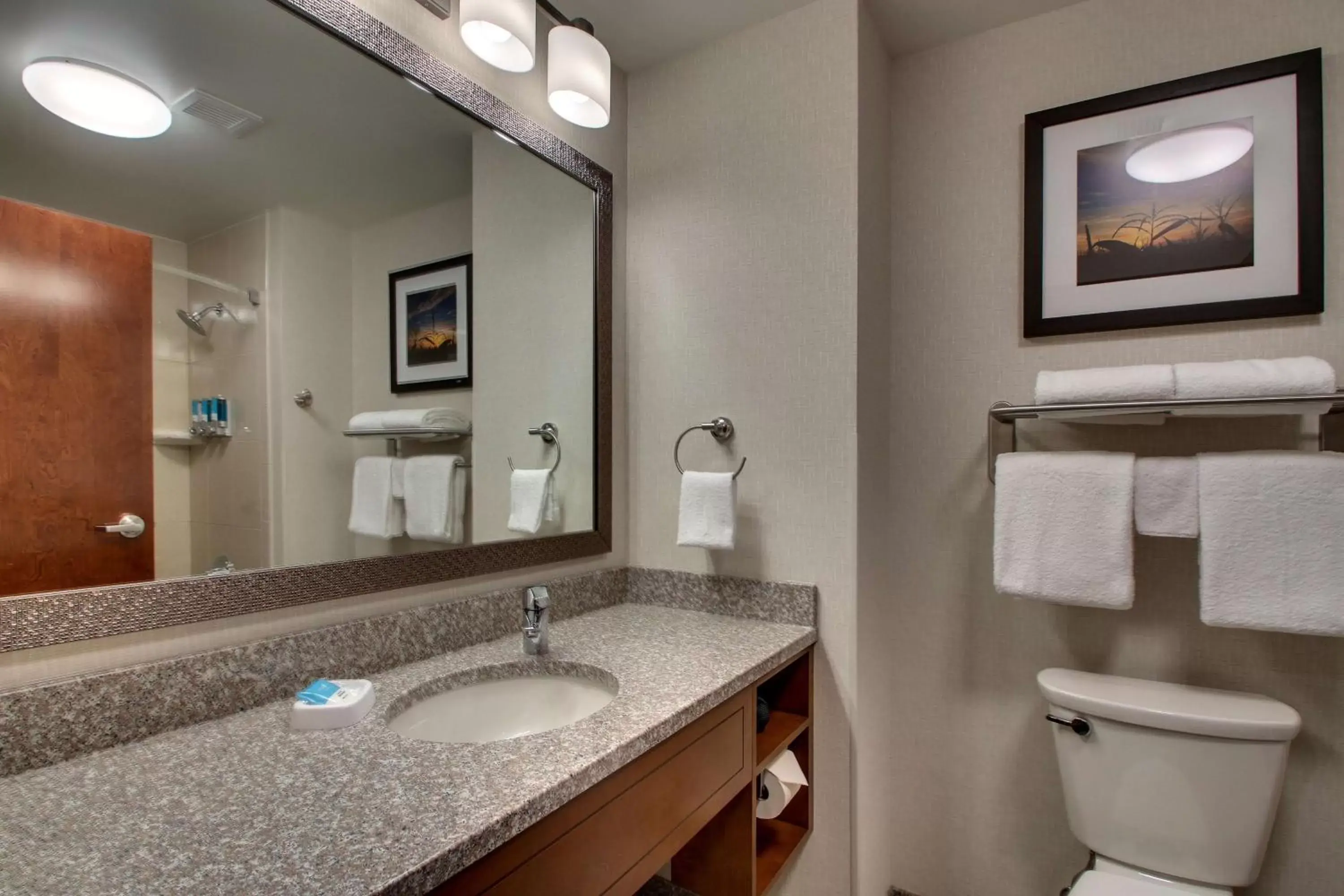 Bathroom in Drury Inn & Suites Iowa City Coralville