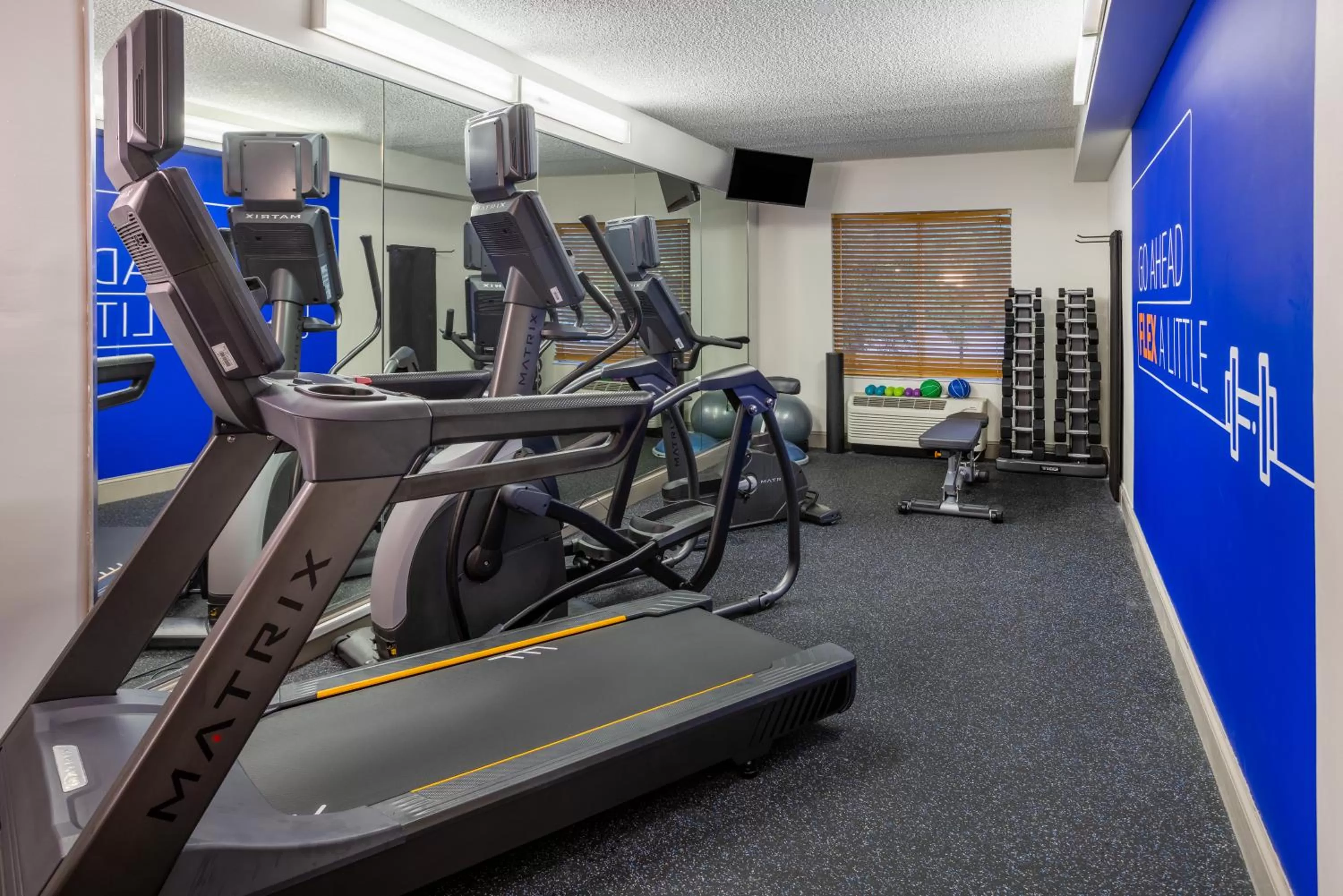 Fitness centre/facilities in Holiday Inn Express and Suites Tampa I-75 at Bruce B. Downs by IHG