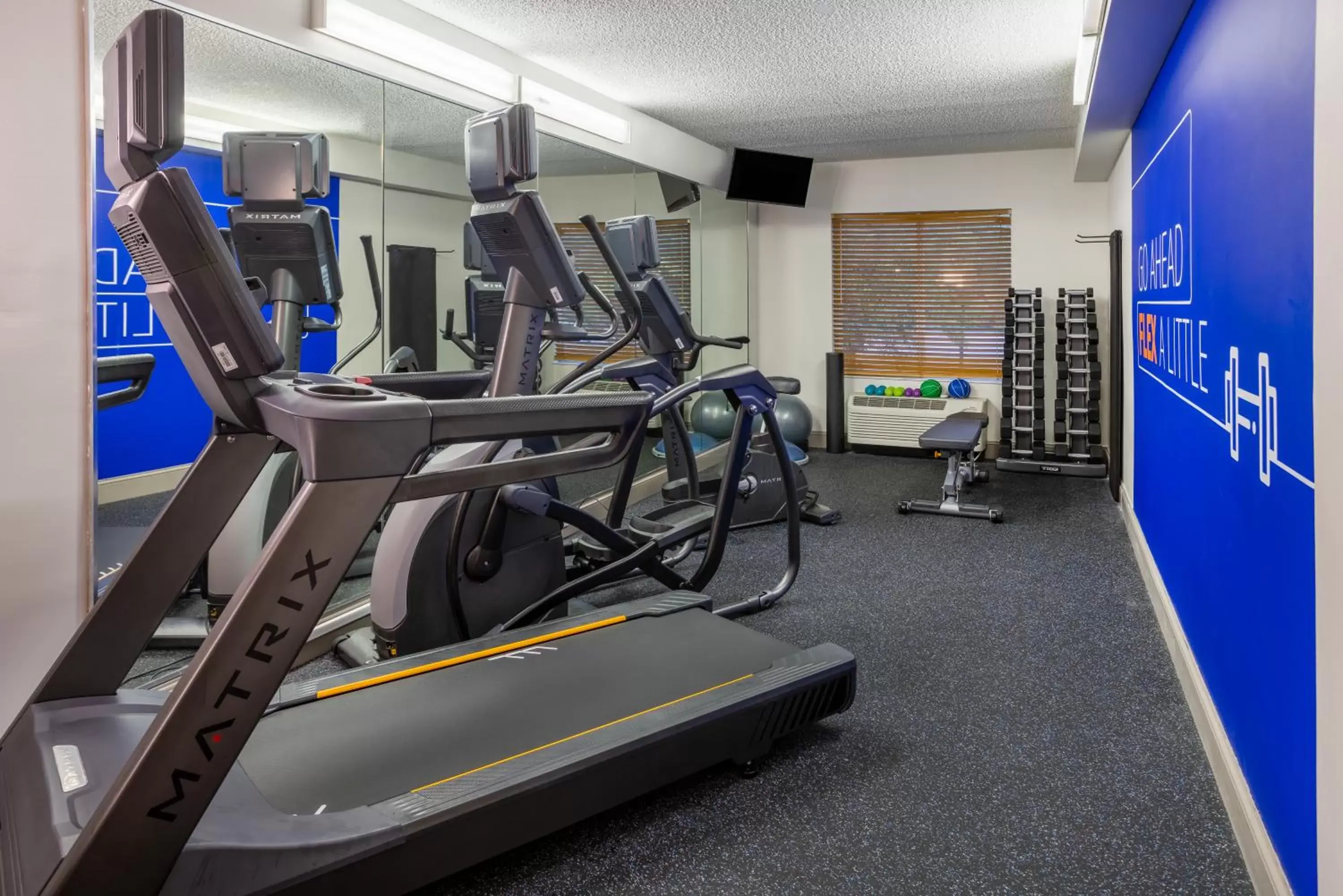 Fitness centre/facilities, Fitness Center/Facilities in Holiday Inn Express and Suites Tampa I-75 at Bruce B. Downs, an IHG Hotel