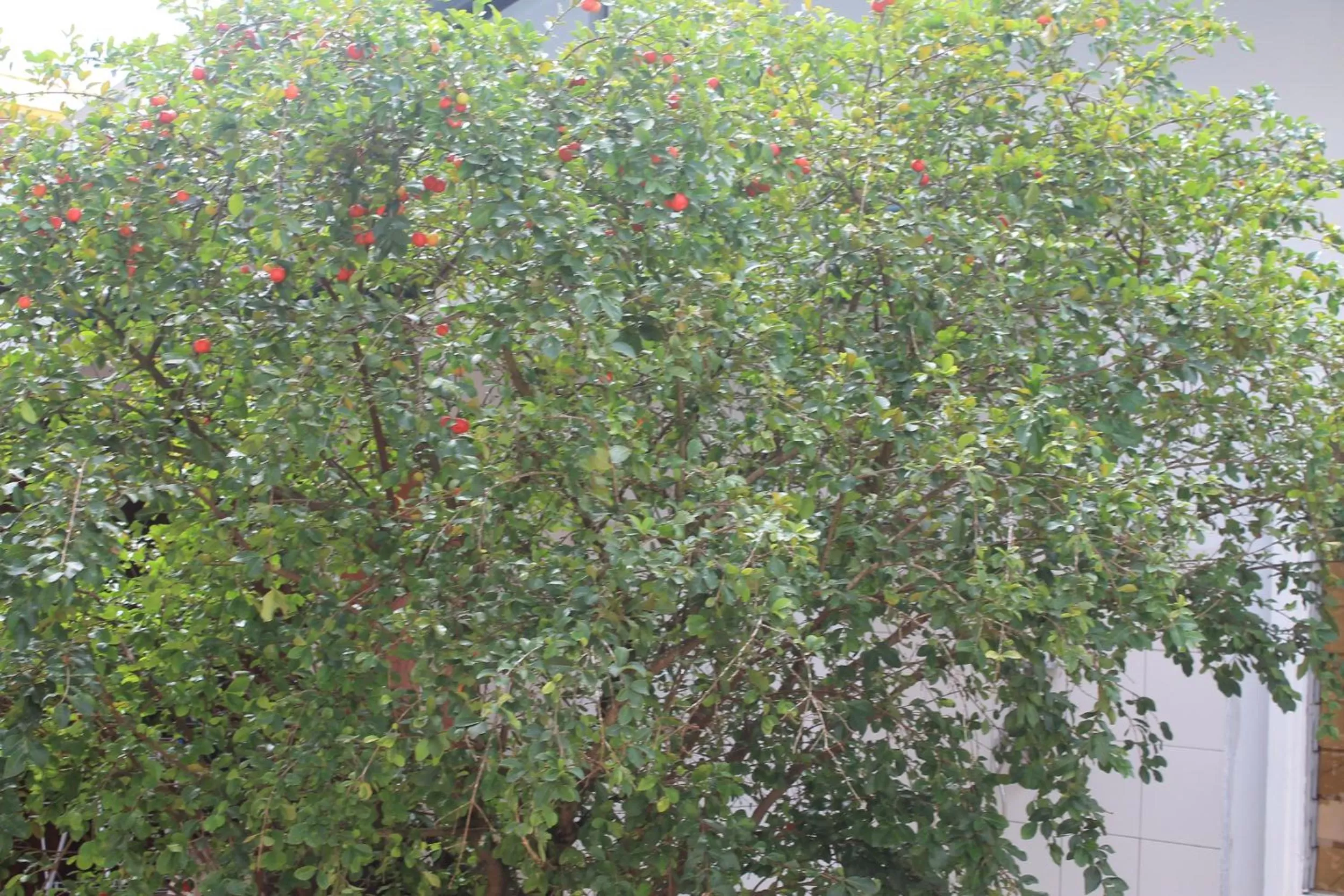 View (from property/room) in Asteria Studios