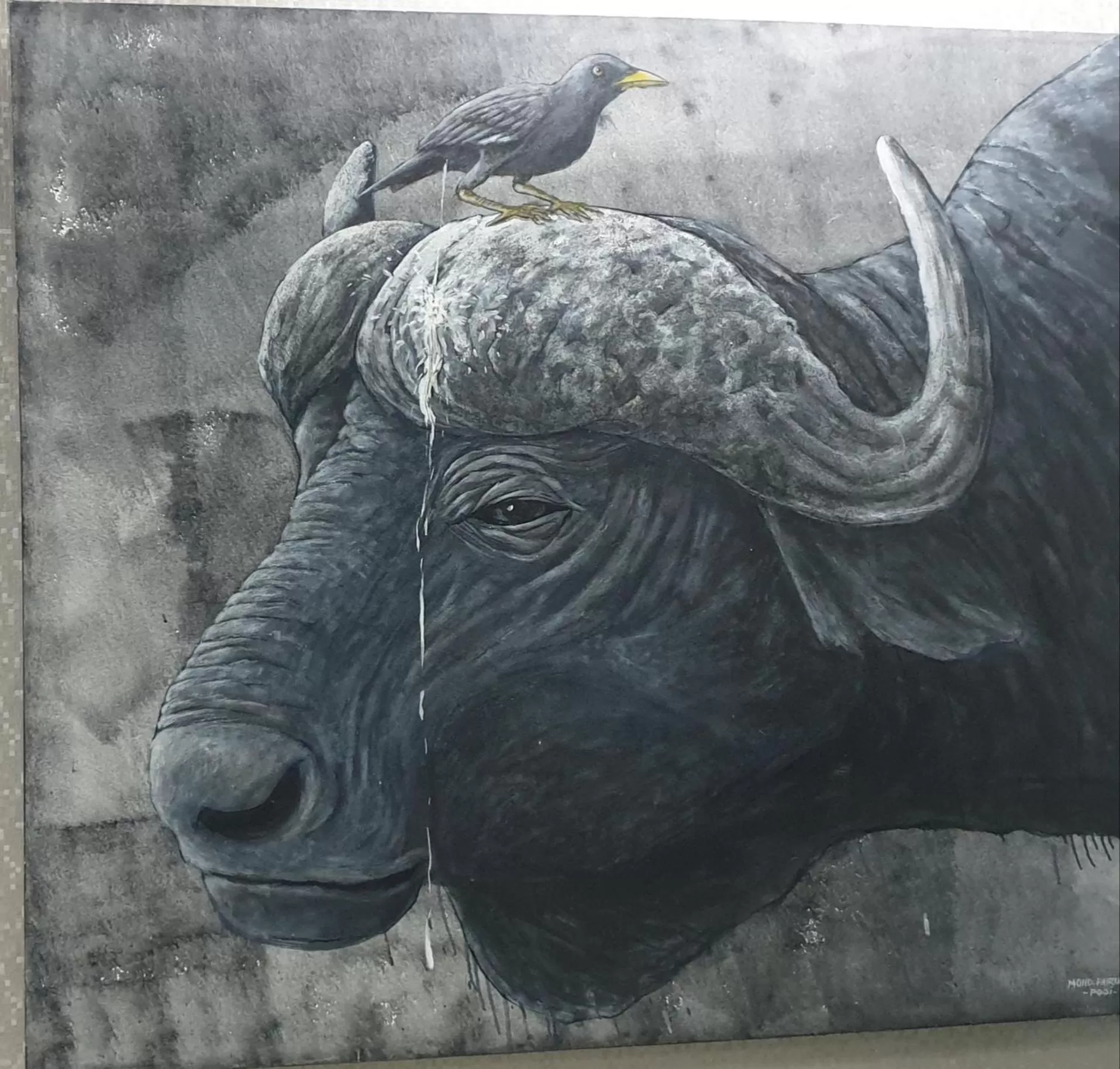 S`ekar Pinang Langkawi