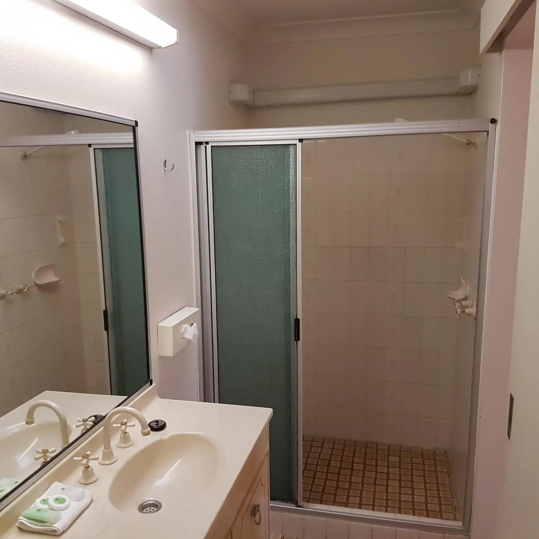 Shower, Bathroom in Chelsea Motor Inn