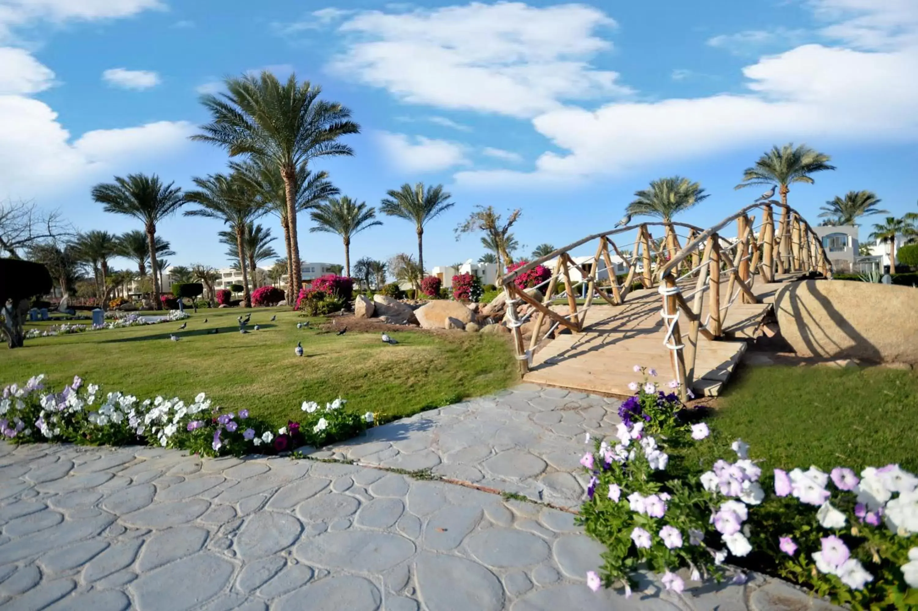 Garden in Aurora Oriental Resort Sharm El Sheikh