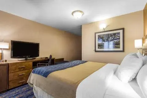 King Room - Accessible/Non-Smoking in Comfort Inn South San Jose - Morgan Hill