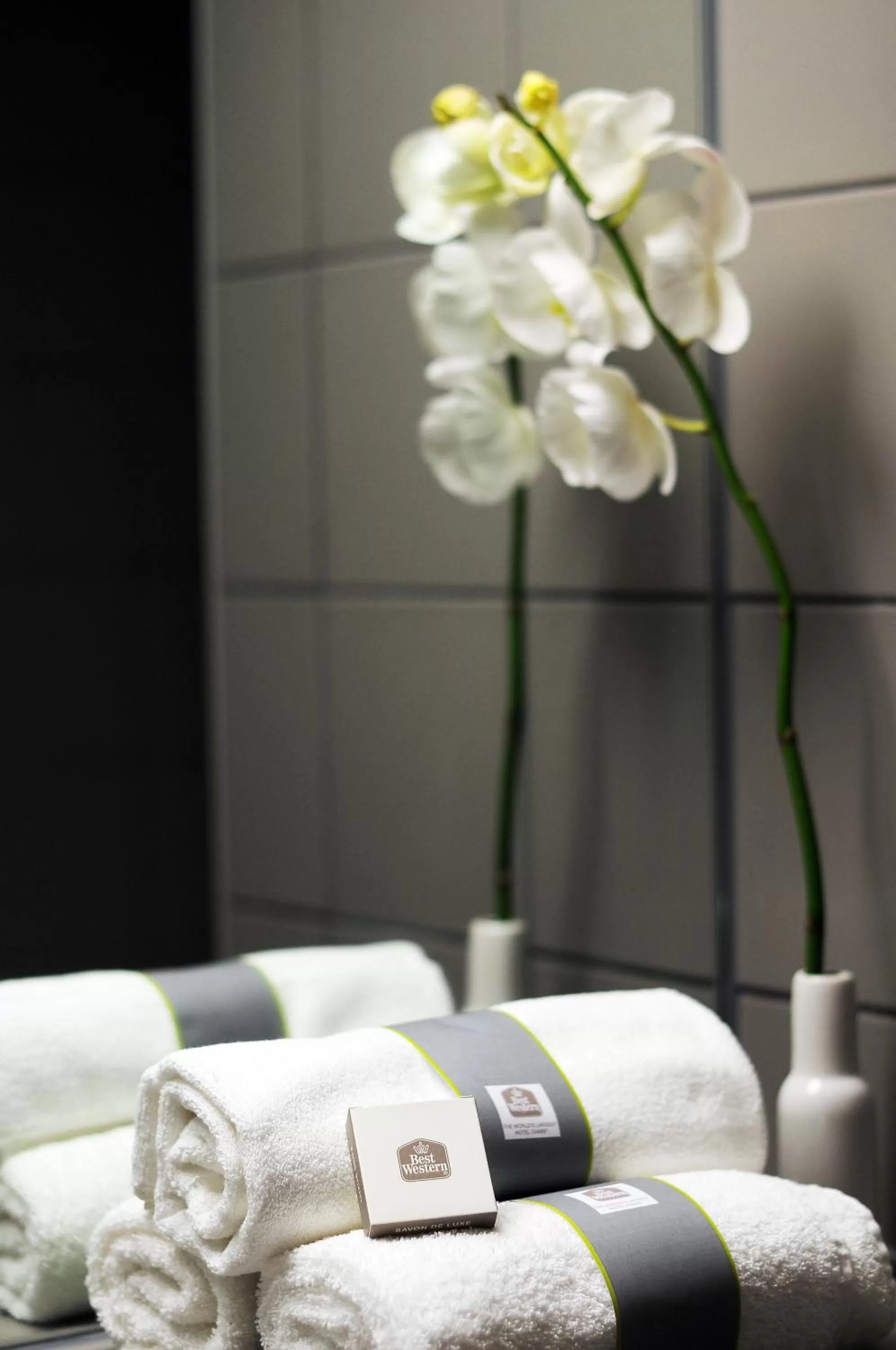 Bathroom, Bed in BEST WESTERN Hotel Brussels South