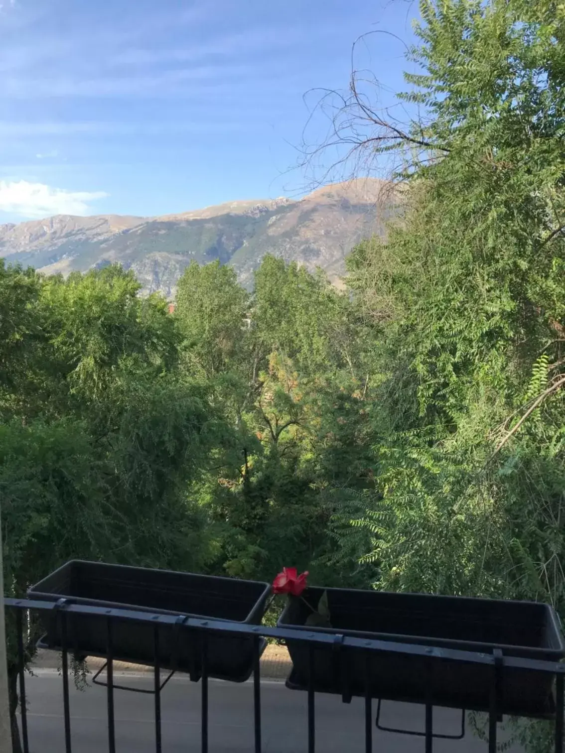 Balcony/Terrace, Mountain View in Lilly