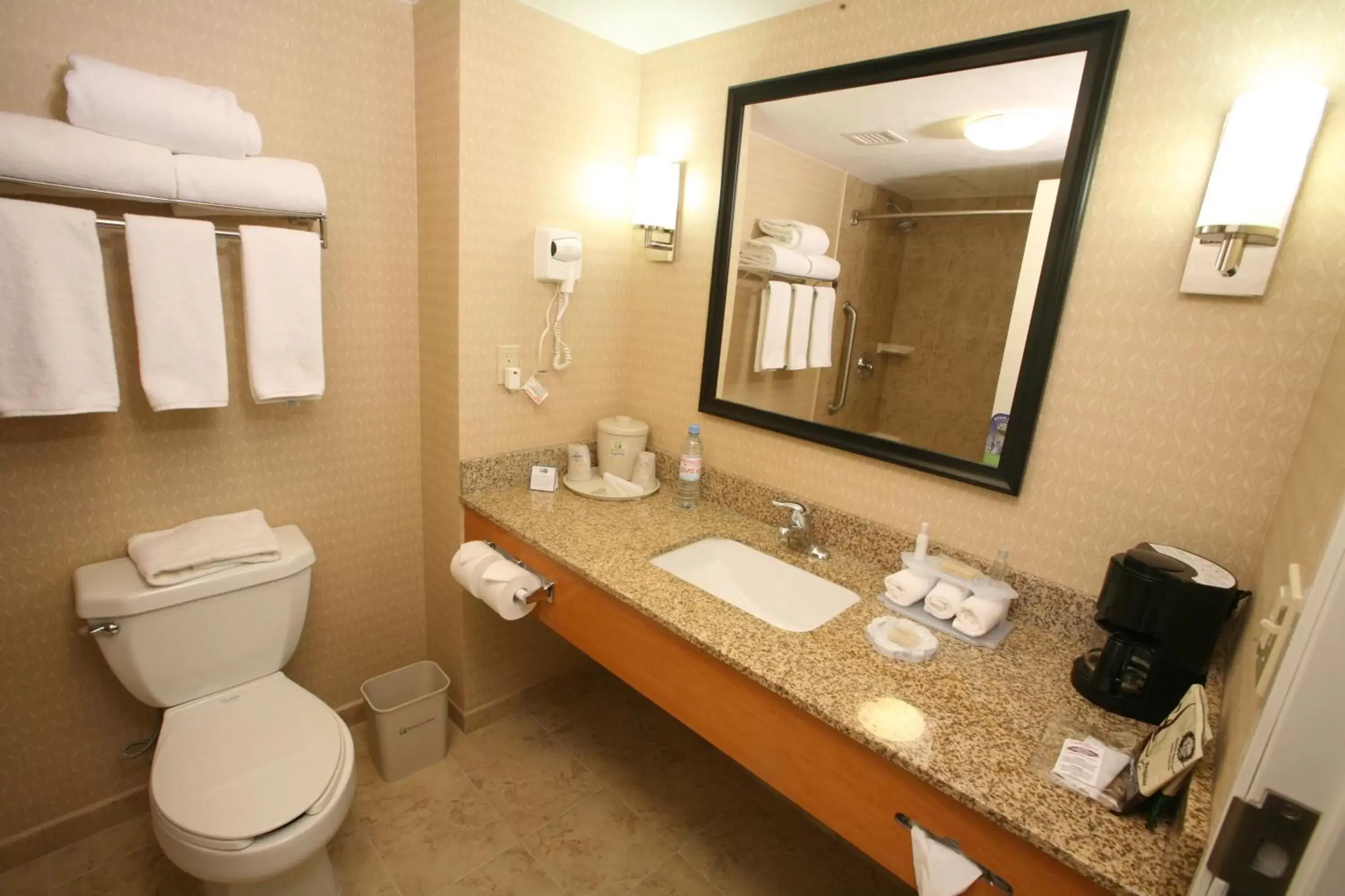 Bathroom in Holiday Inn Express Saltillo Zona Aeropuerto, an IHG Hotel