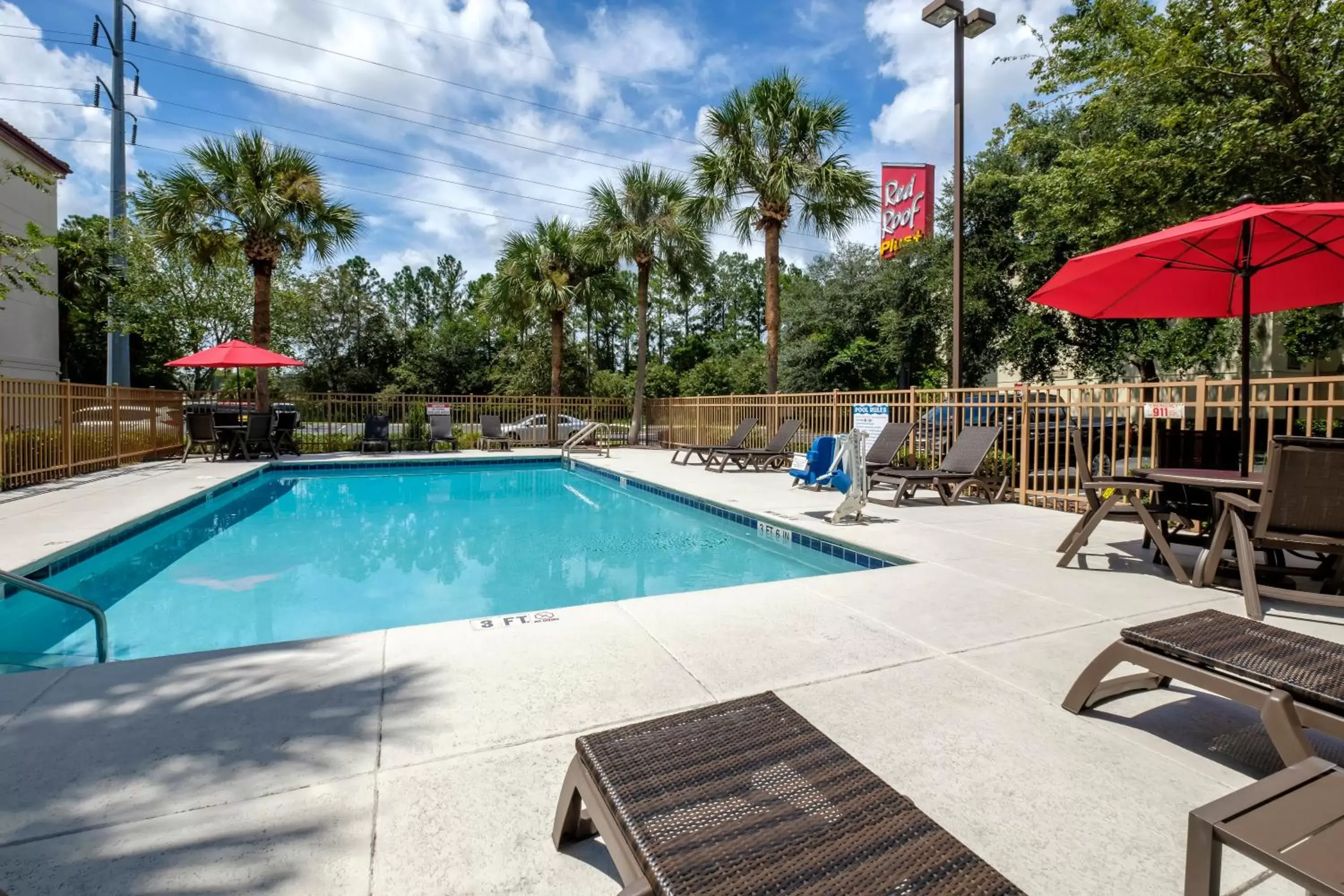 Swimming Pool in Red Roof Inn PLUS + Gainesville