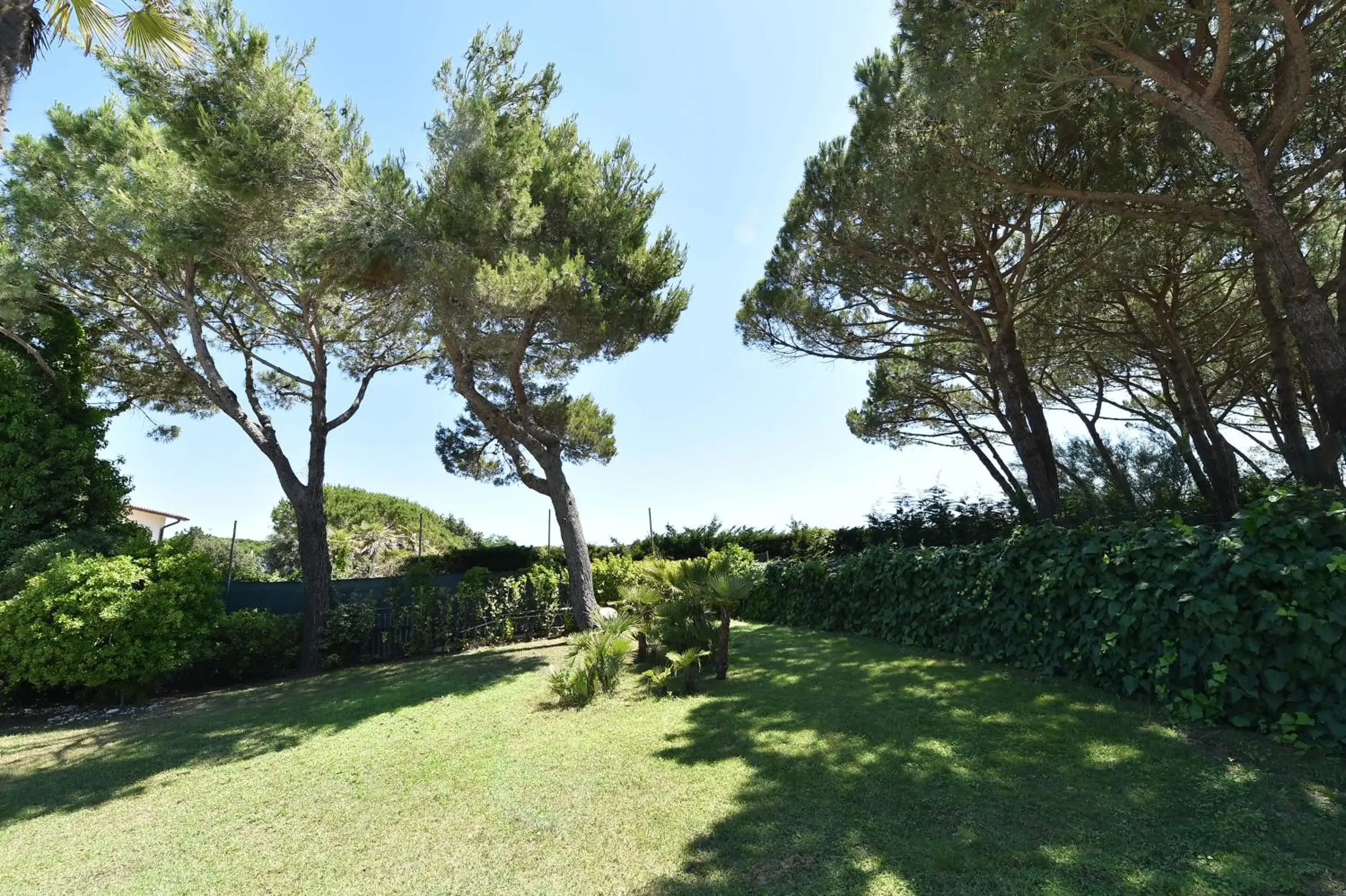 Natural landscape, Garden in Hotel Maracaibo