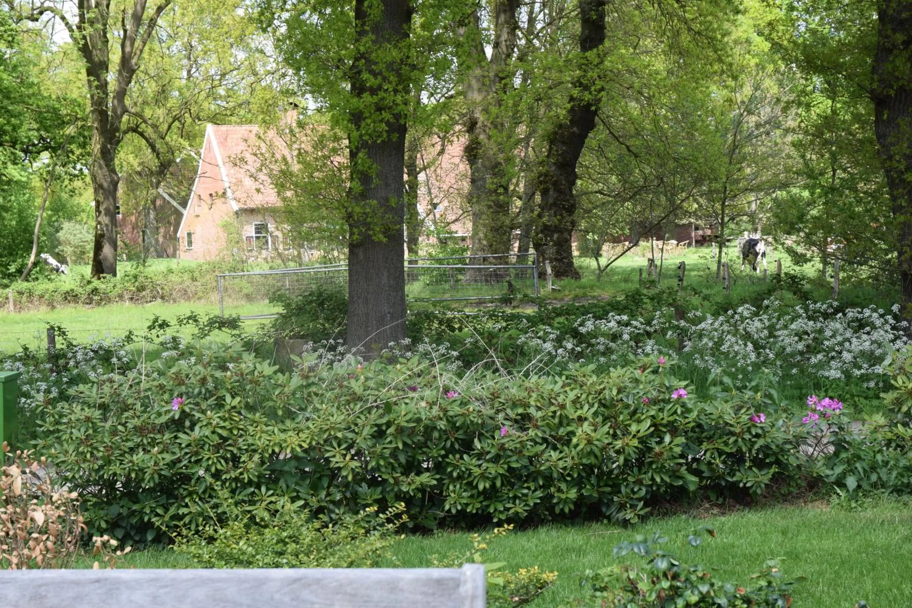 Natural landscape in De Hiddinghhoeve