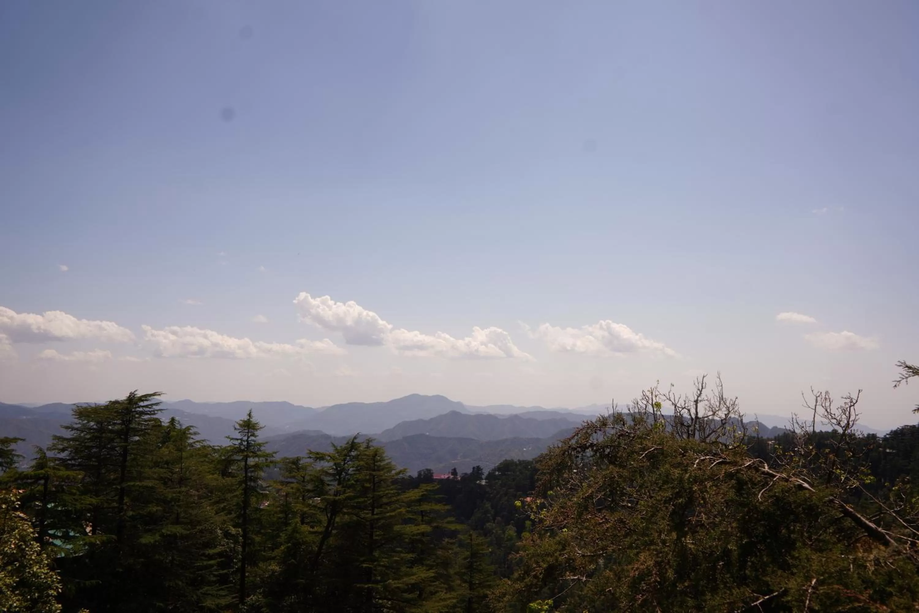 View (from property/room) in Jakhu Vibes