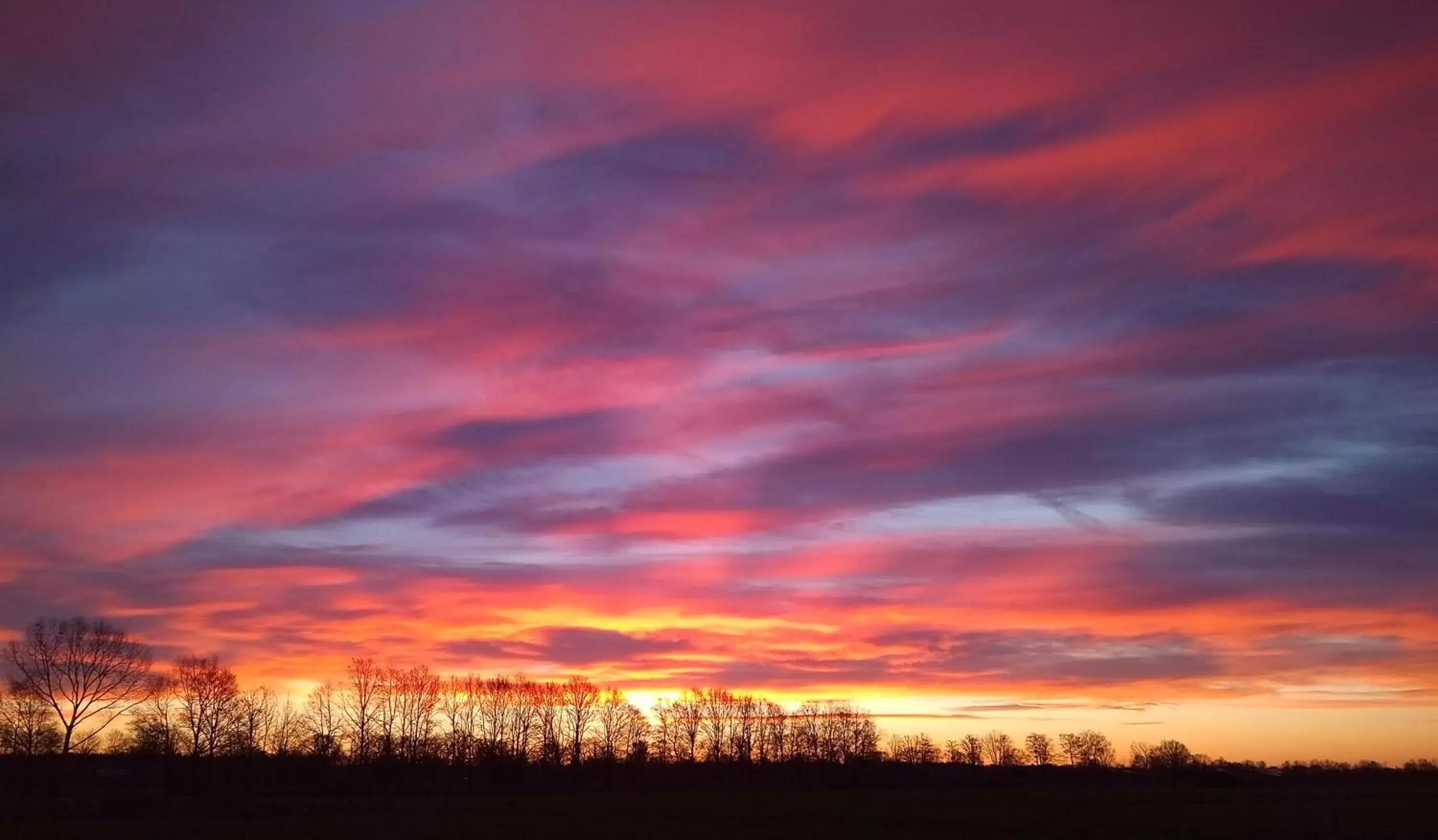 View (from property/room), Sunrise/Sunset in B&B In de Wei