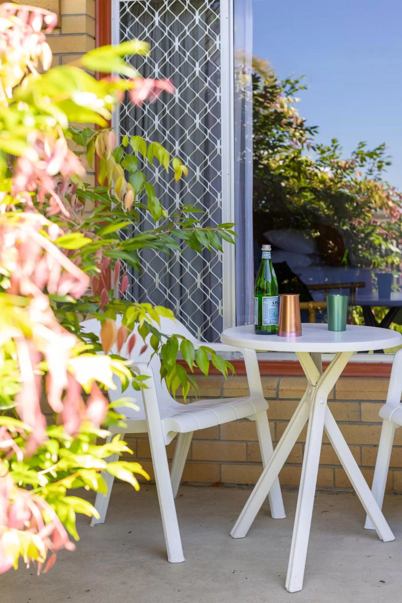 Superior Double or Twin Room in South Pacific Palms Motor Inn