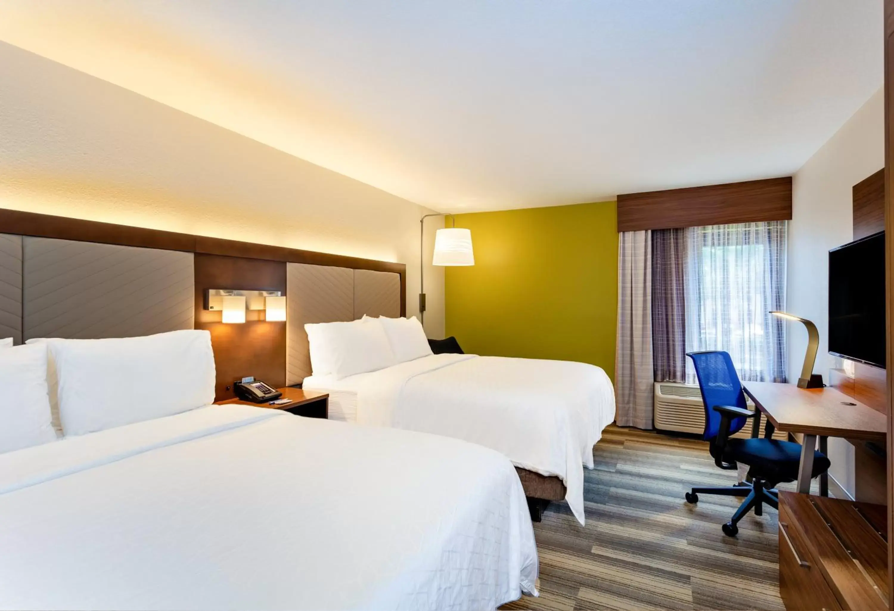 Photo of the whole room, Bed in Holiday Inn Express Tampa-Brandon, an IHG Hotel