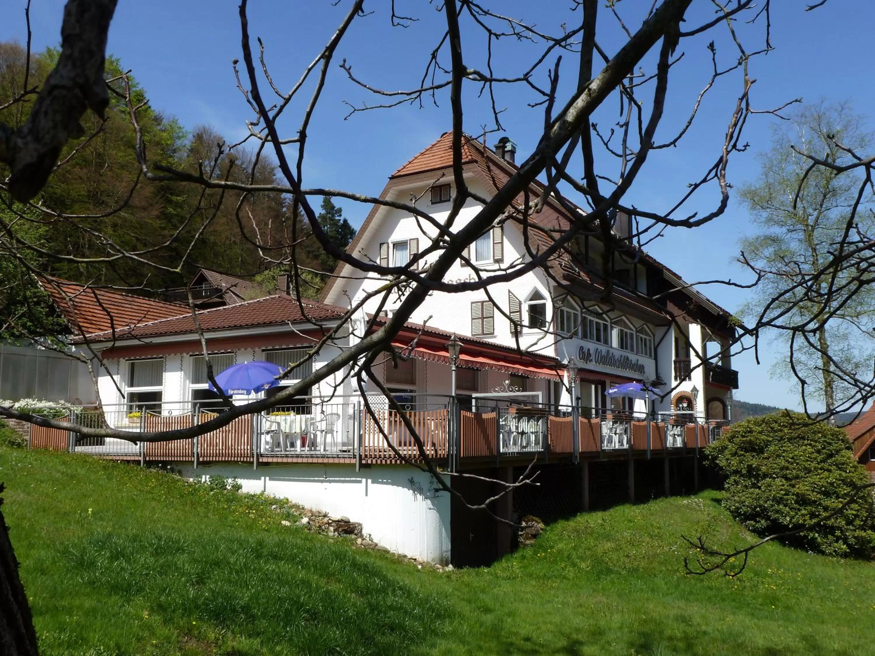 Facade/entrance in Waldschlösschen
