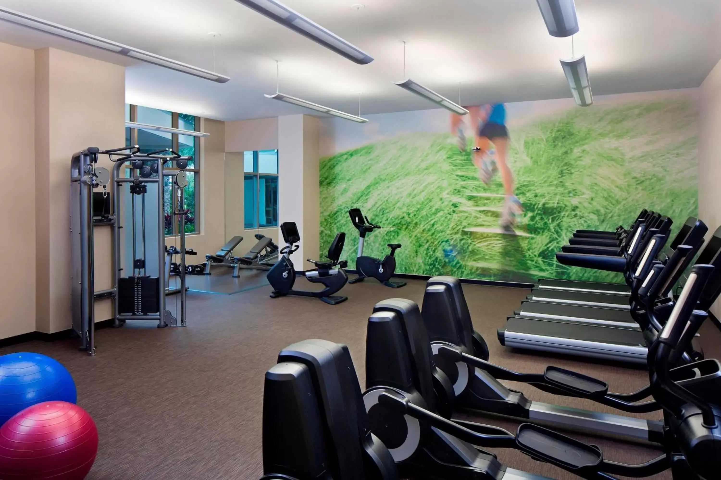 Fitness centre/facilities, Fitness Center/Facilities in The Westin Tampa Bay