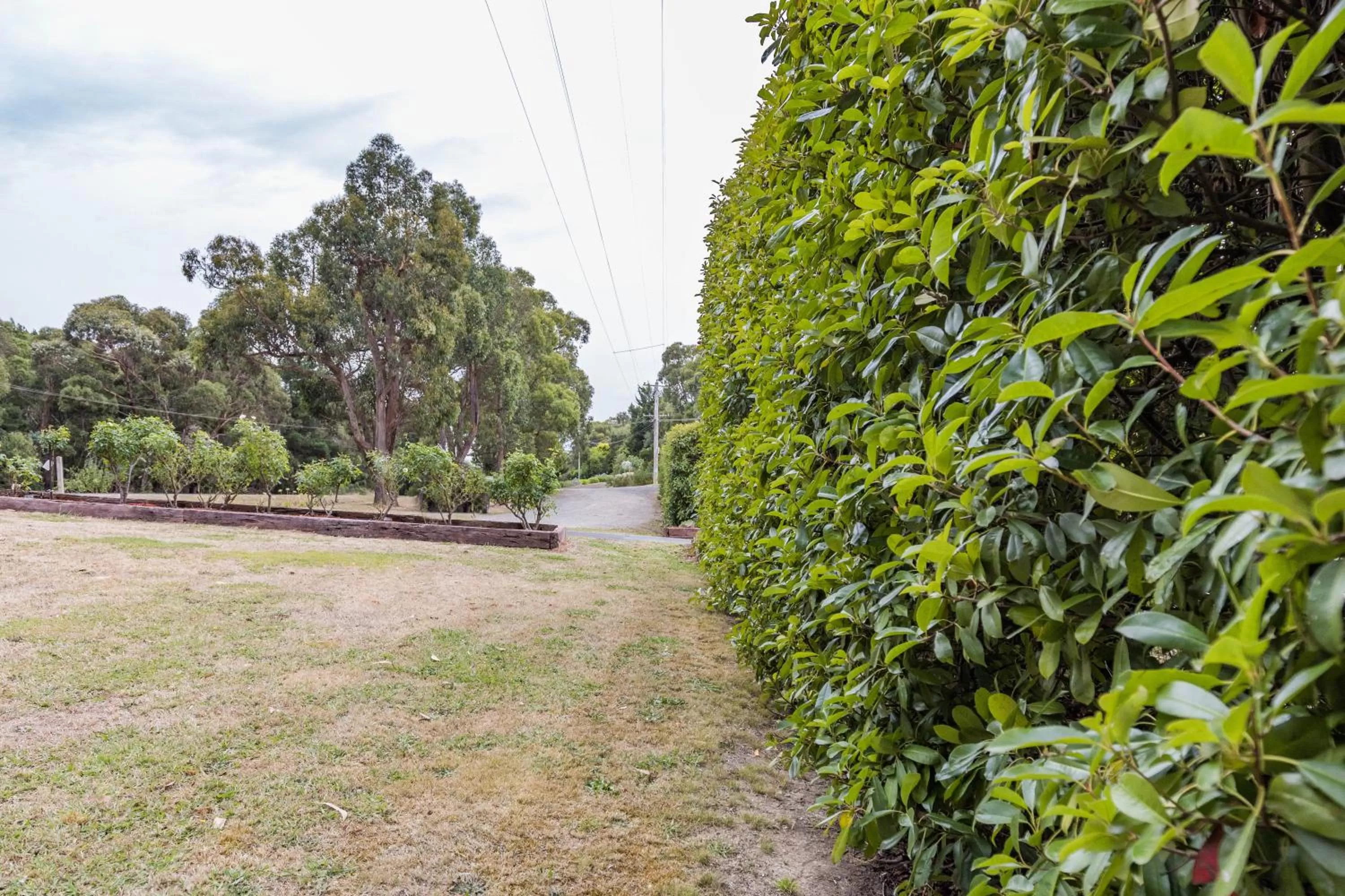 Parking in Black Forest Motel
