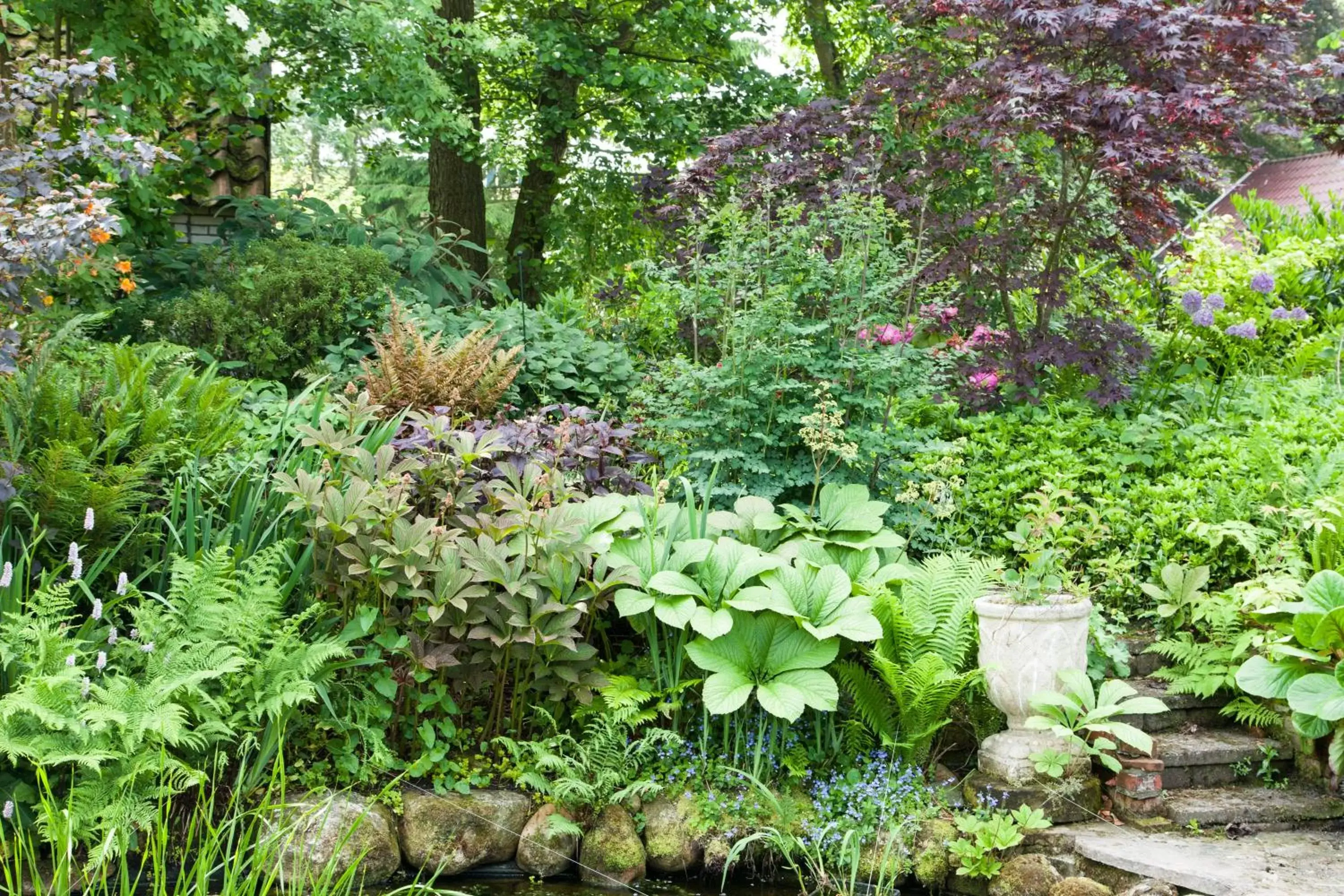 Garden in De Wiede Blik