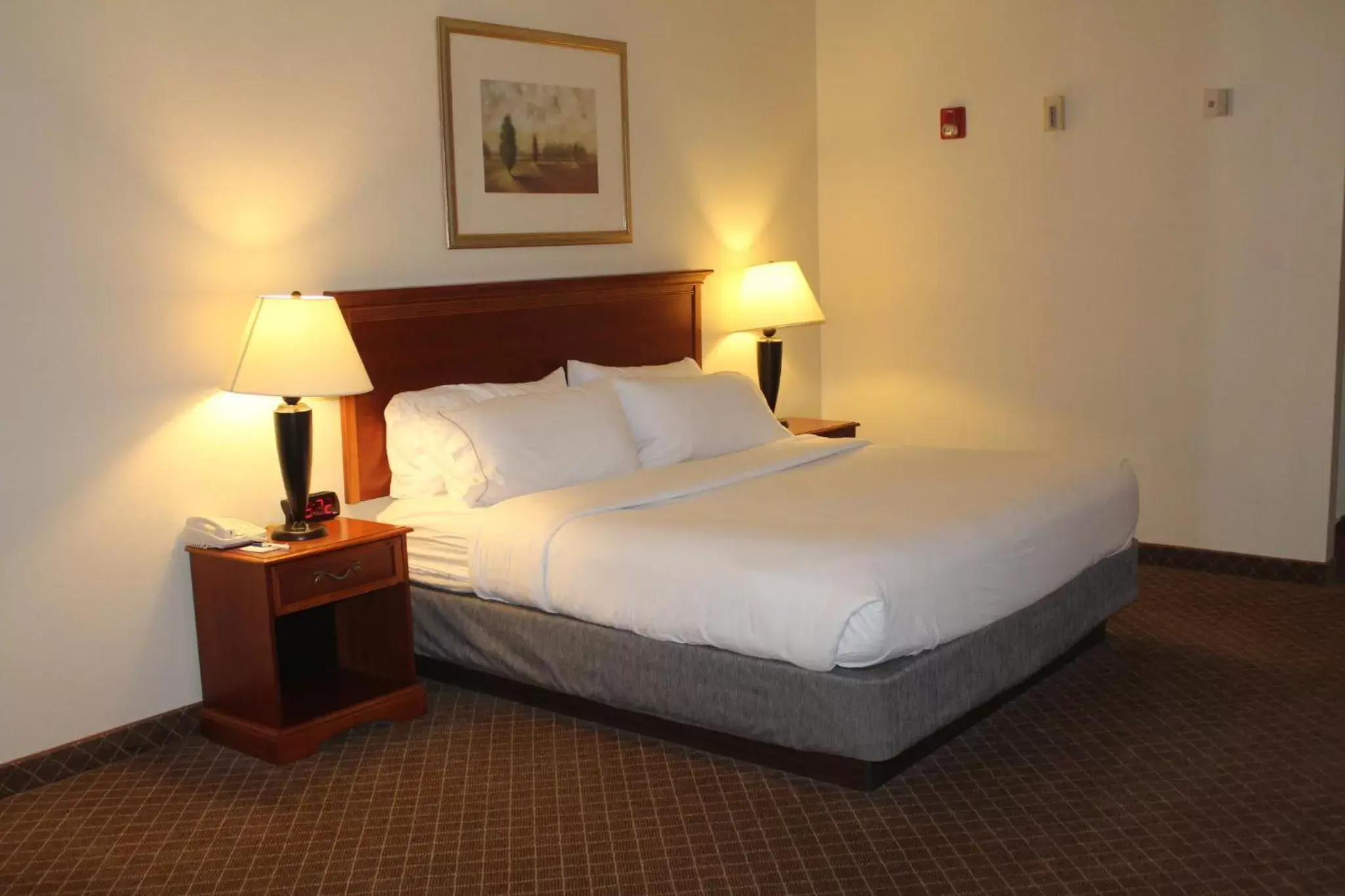 Photo of the whole room, Bed in Holiday Inn Express Heber City, an IHG Hotel