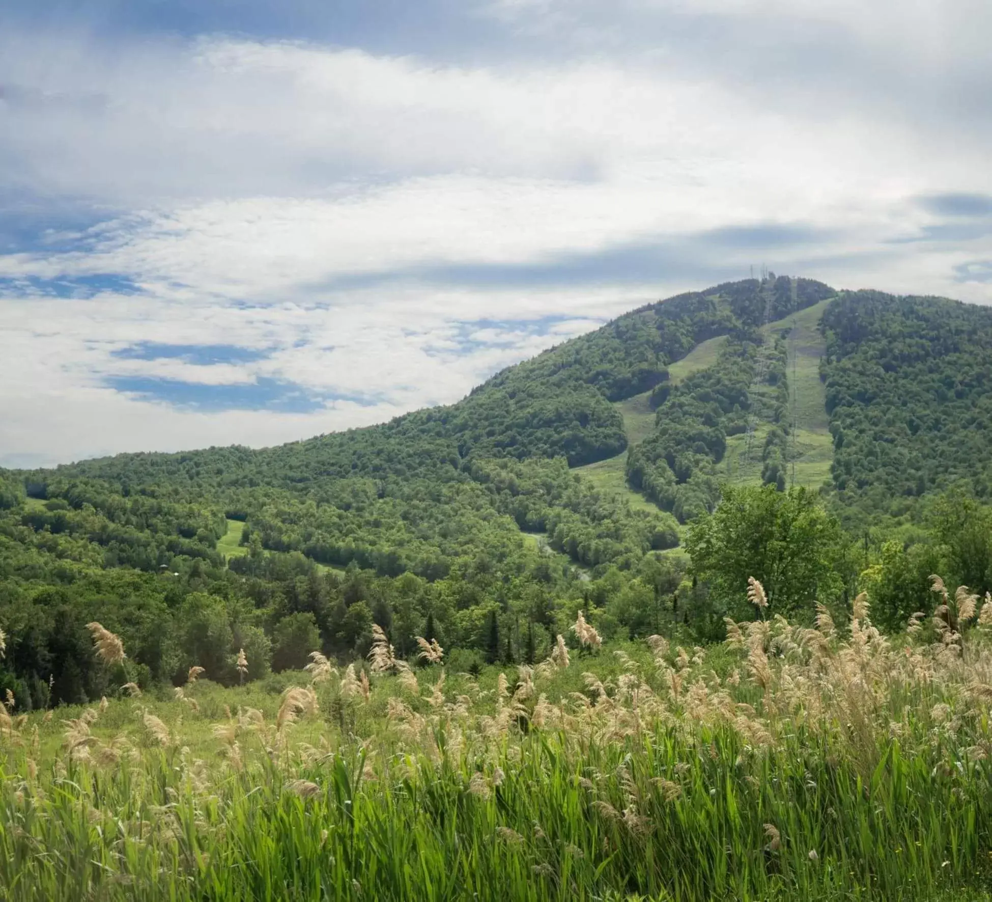 Condo Hotel Au pied du Mont Orford