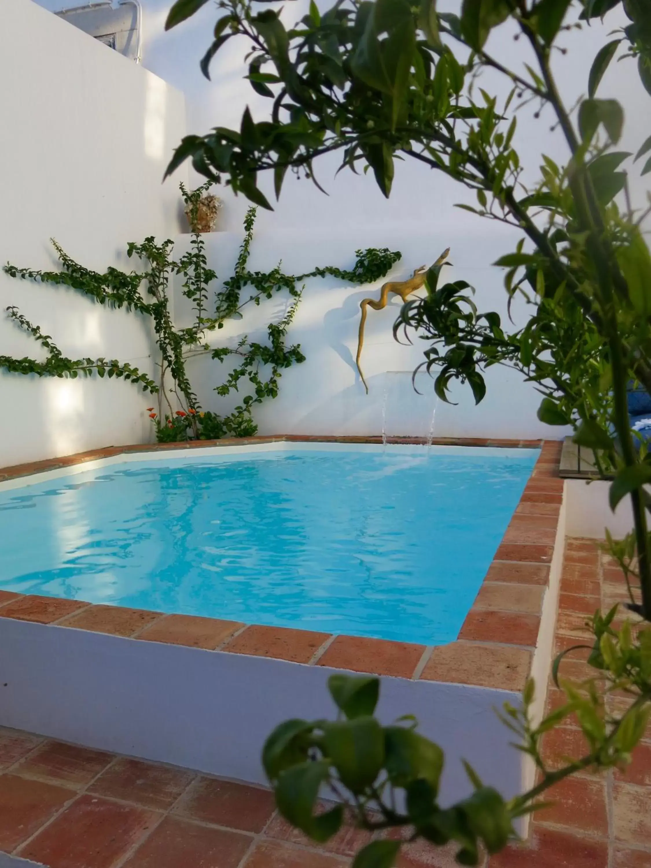 Pool view, Swimming Pool in São Paulo Boutique Hotel - SPBH