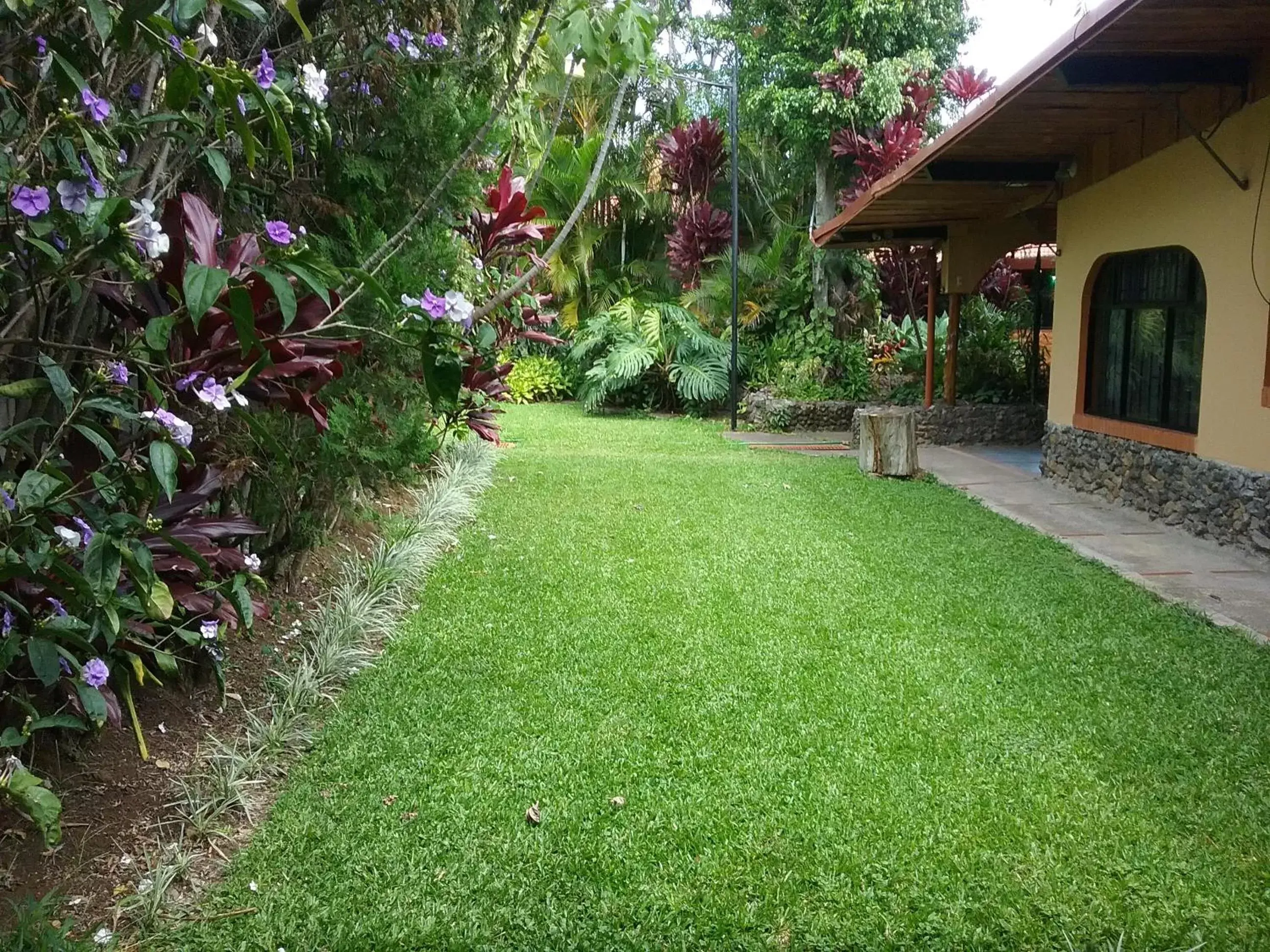 Garden view, Garden in Hotel Cibeles Resort