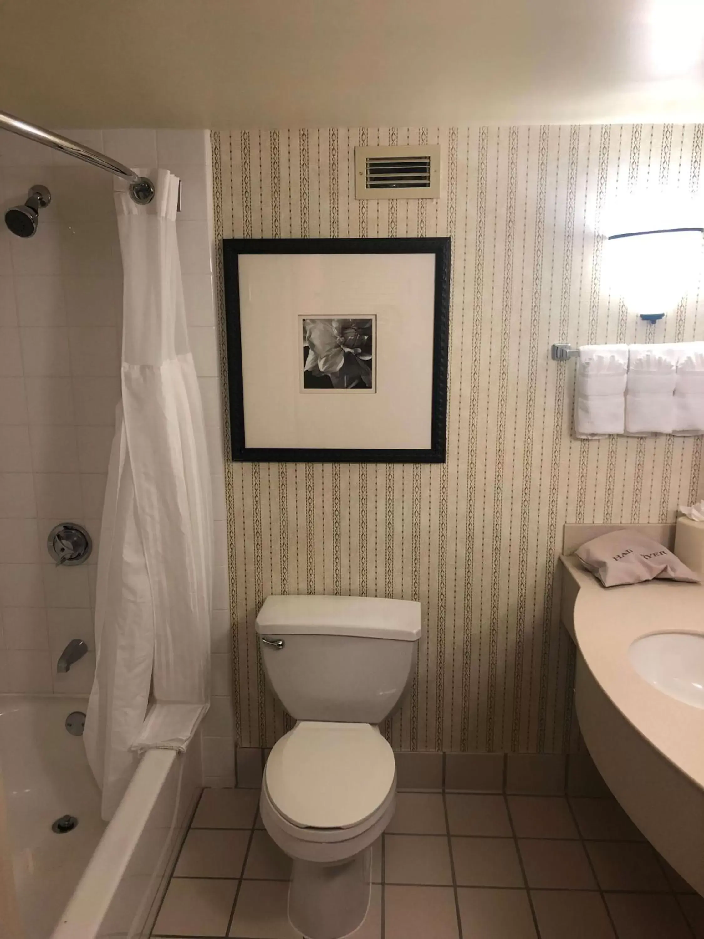 Bathroom in Hilton Garden Inn Addison