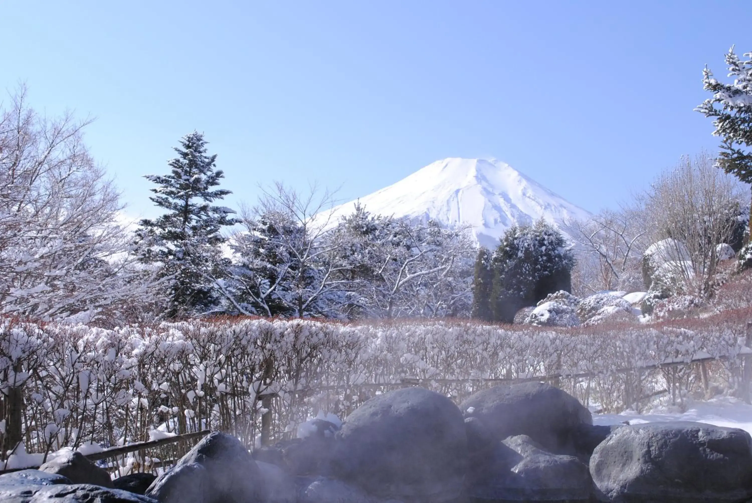 Winter in Hotel Mt.Fuji