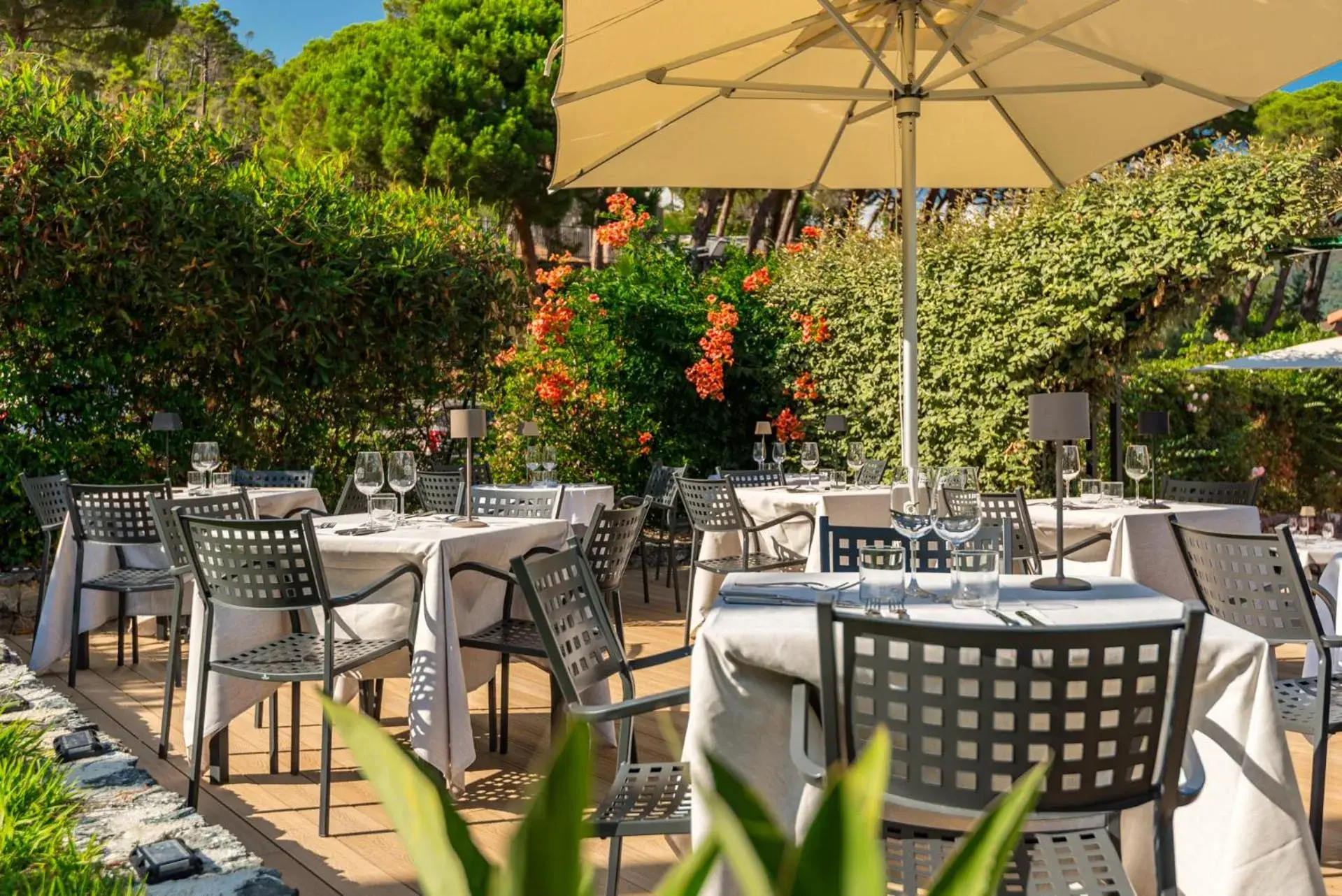 Restaurant/places to eat in Park Hotel Argento Restaurant/places to eat in Park Hotel Argento