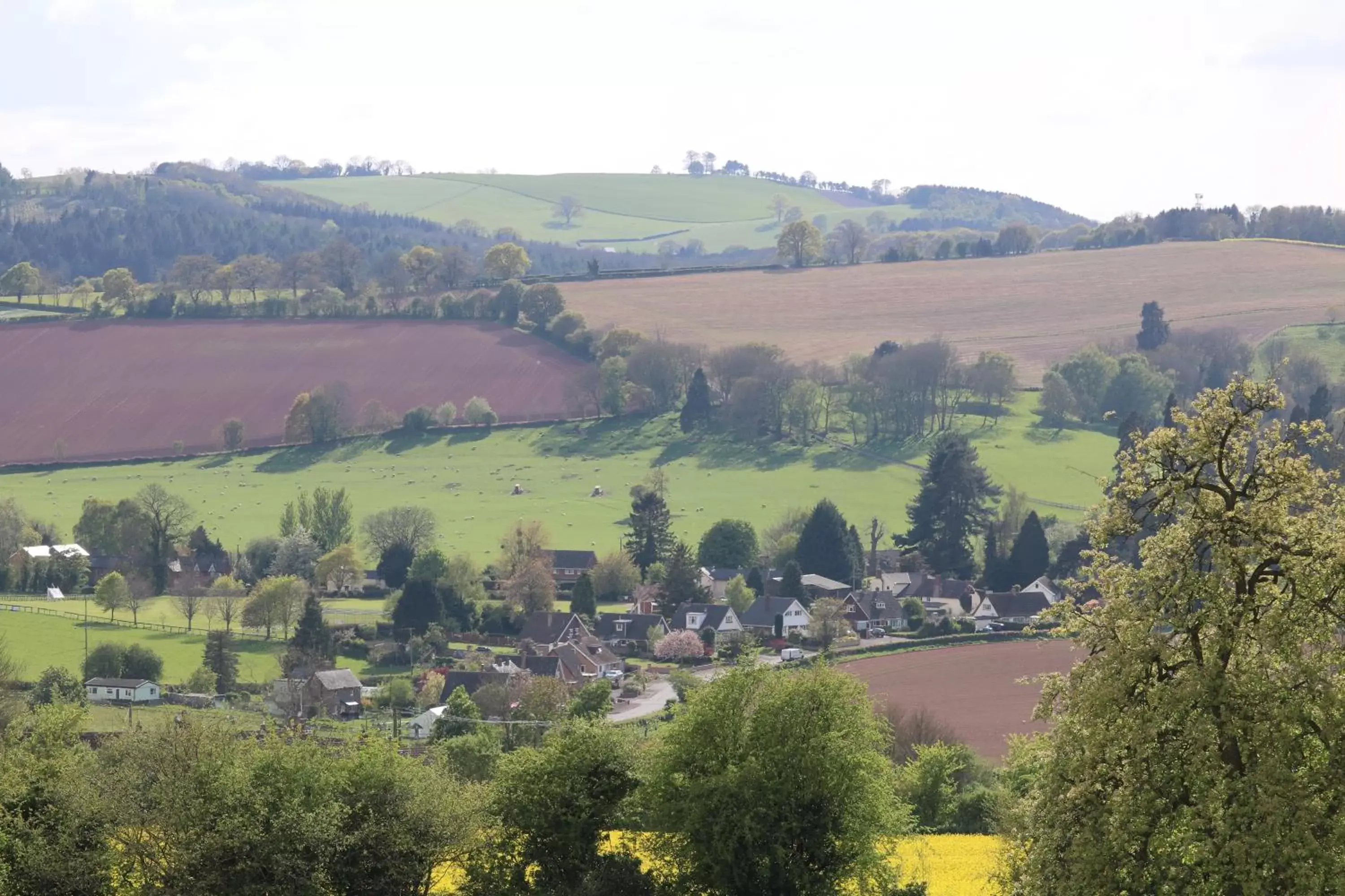 Natural landscape in Pilgrim Hotel