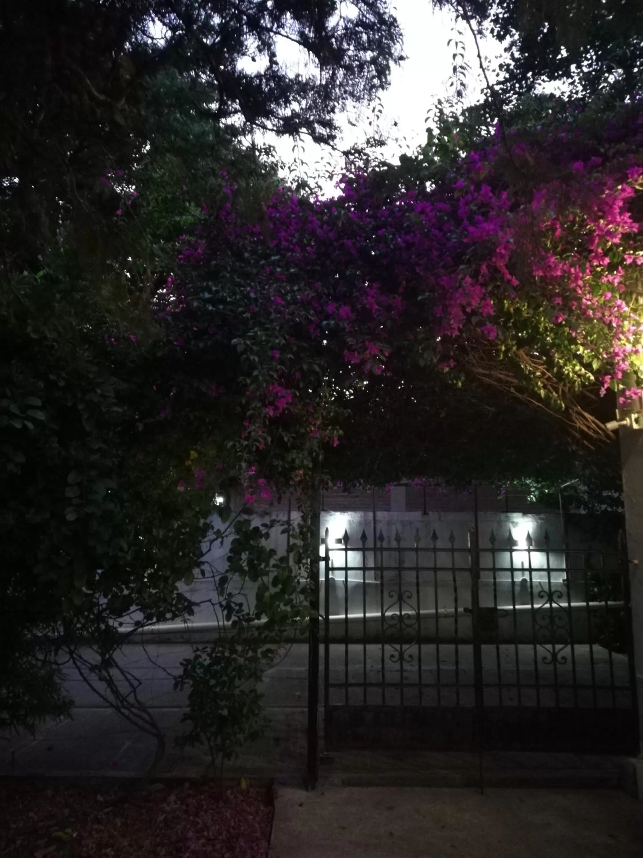 HOTEL Boutique Casablanca Adrogué