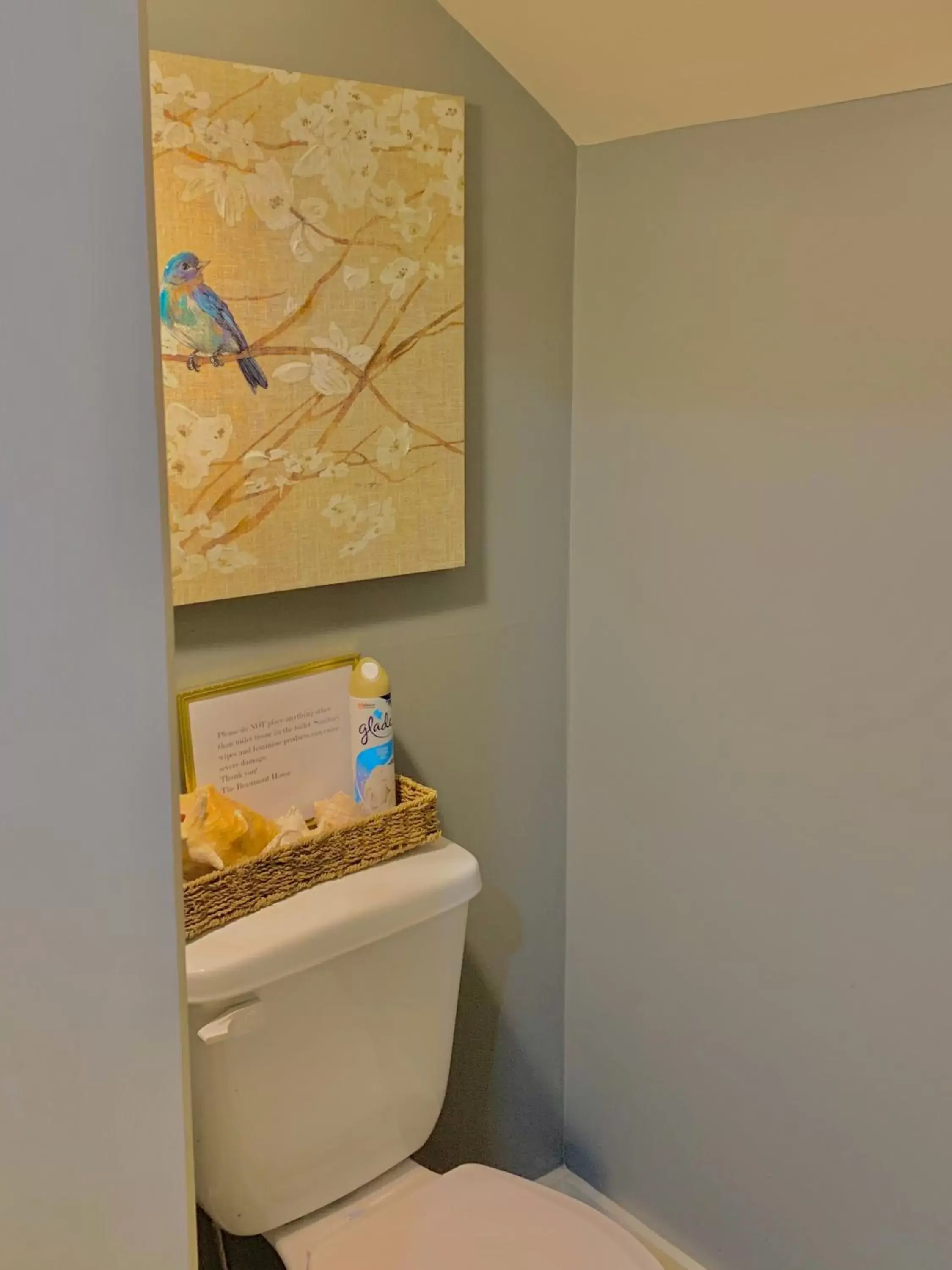 Toilet, Bathroom in The Beaumont House Natchez